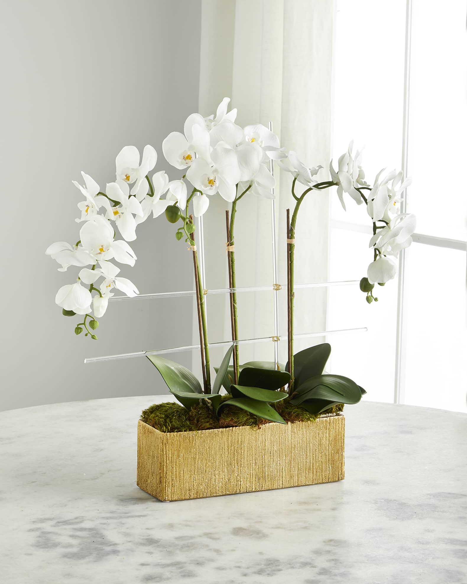 Golden Drip Orchids Arrangement 0