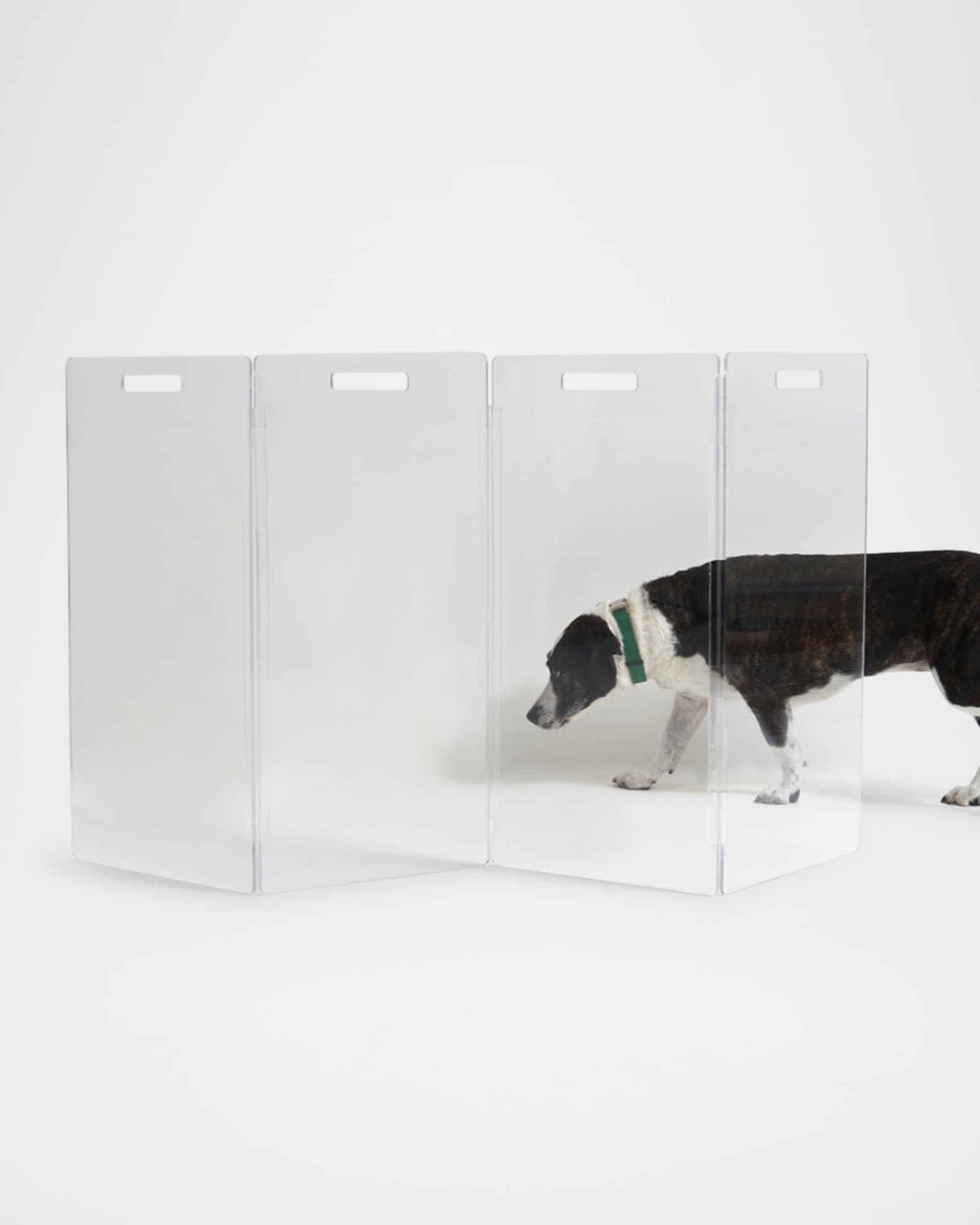 HIDDIN Clear FreeStanding ZigZag Pet Gate, 4Panel Neiman Marcus