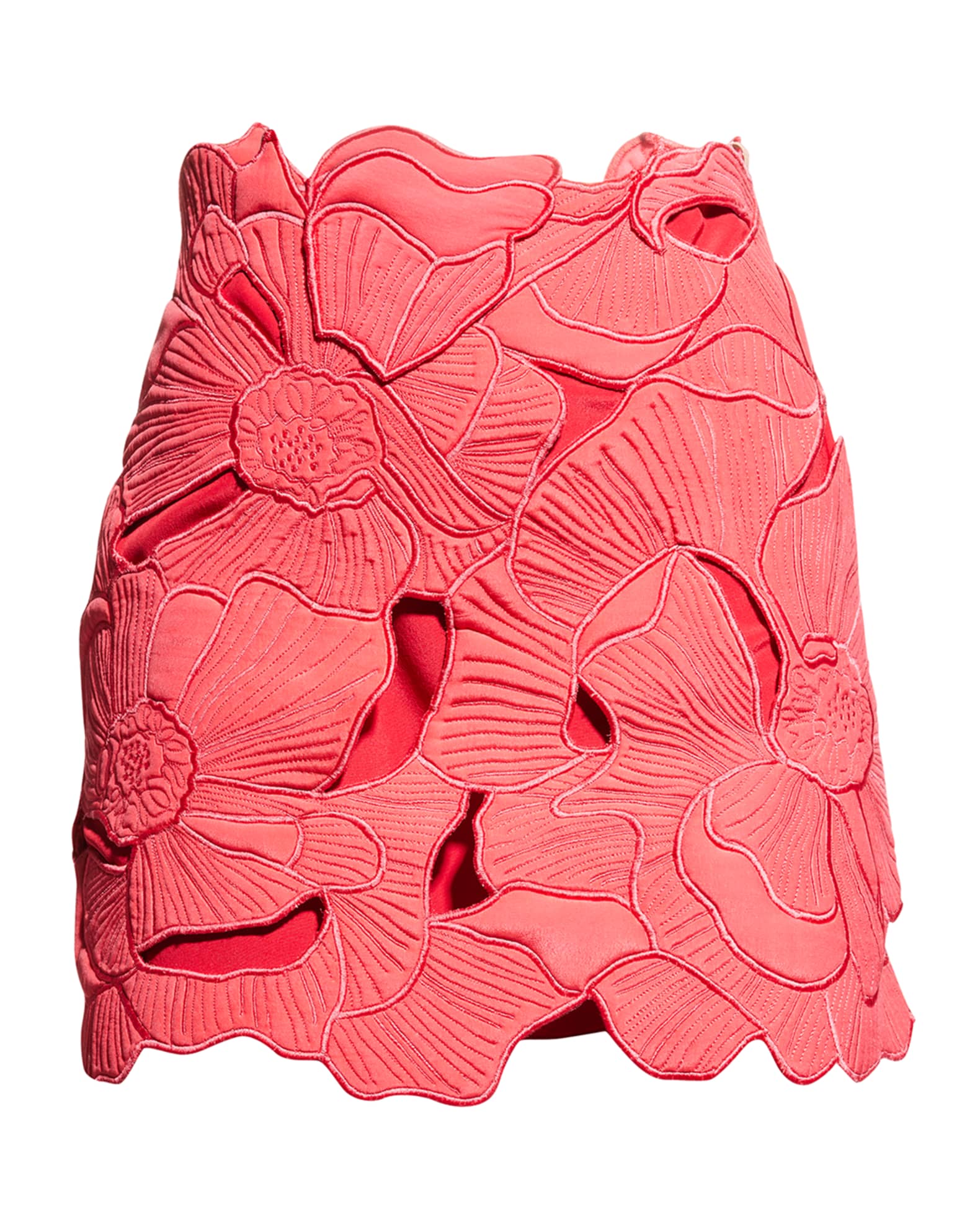 Embroidered Cut Out Skirt main image 0
