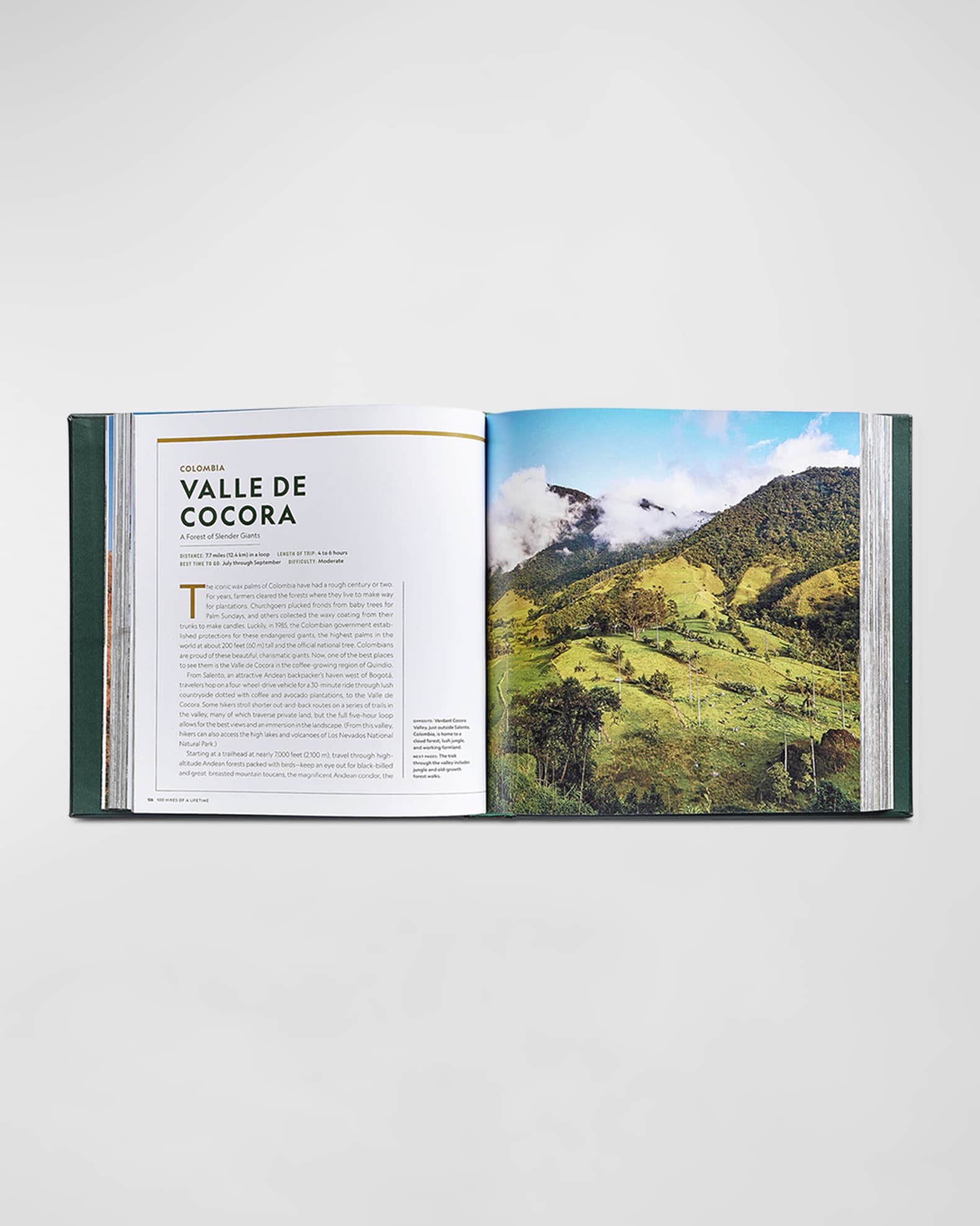 Graphic Image "100 Hikes Of A Lifetime" Book - Personalized | Neiman Marcus