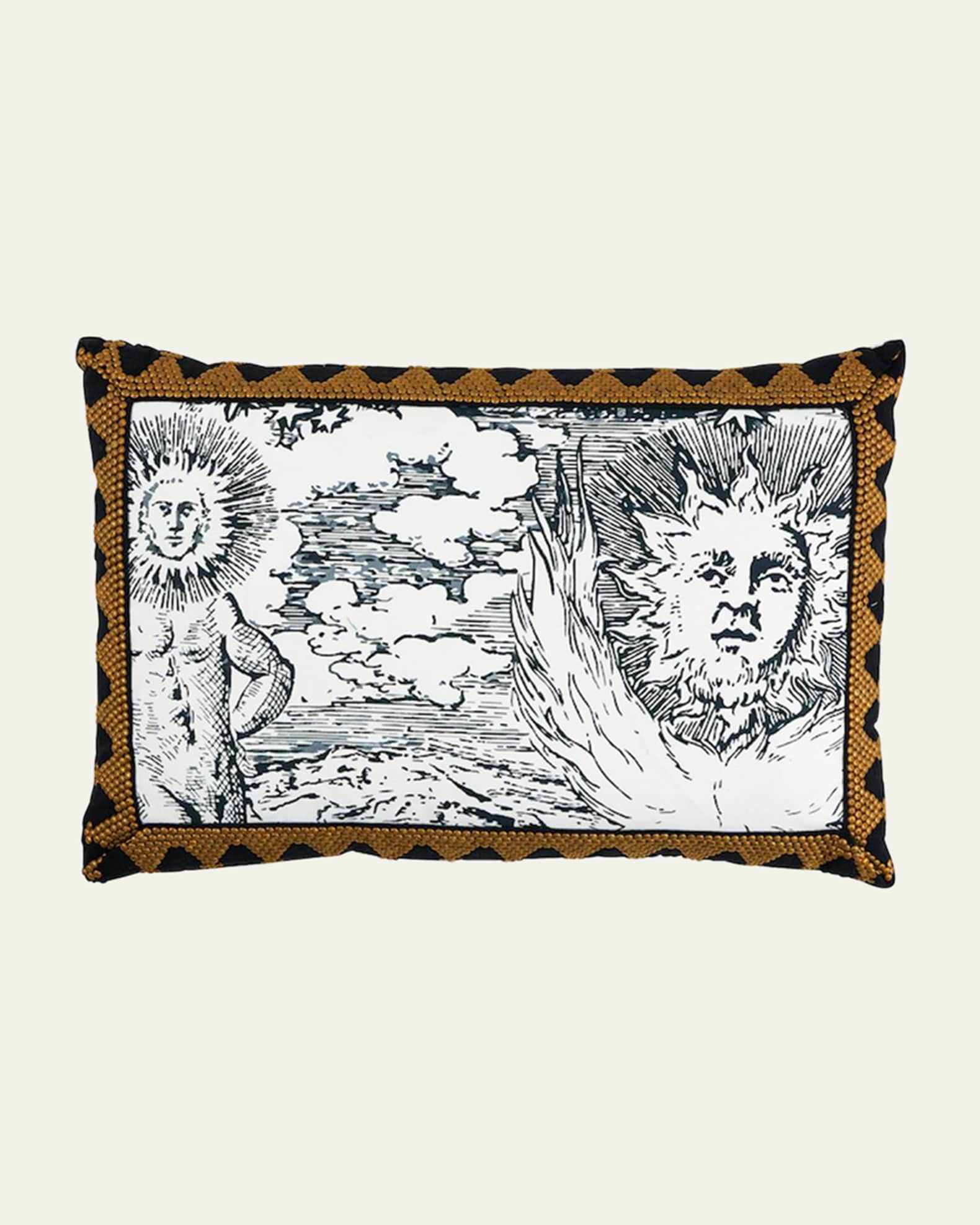 Tim Tim & Modern Toile Pillow 0