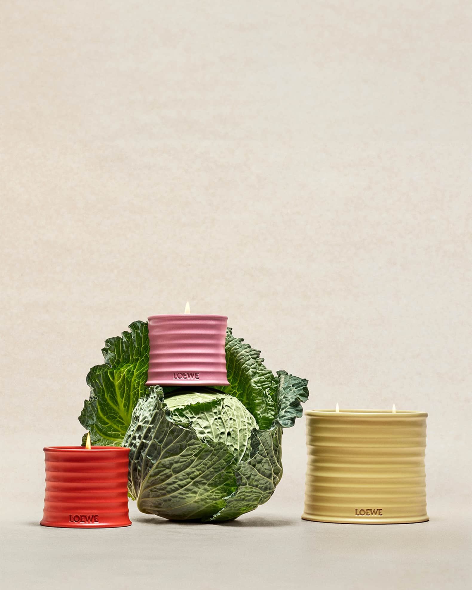 LOEWE アイビーキャンドル ミディアム 【公式通販】