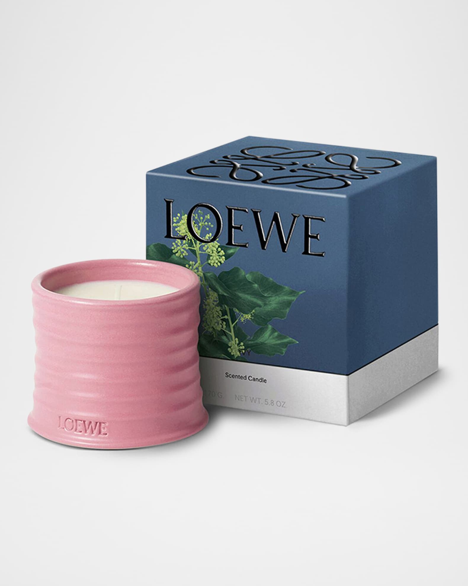 LOEWE アイビーキャンドルスモール Small Ivy Candle | LOEWE Perfumes