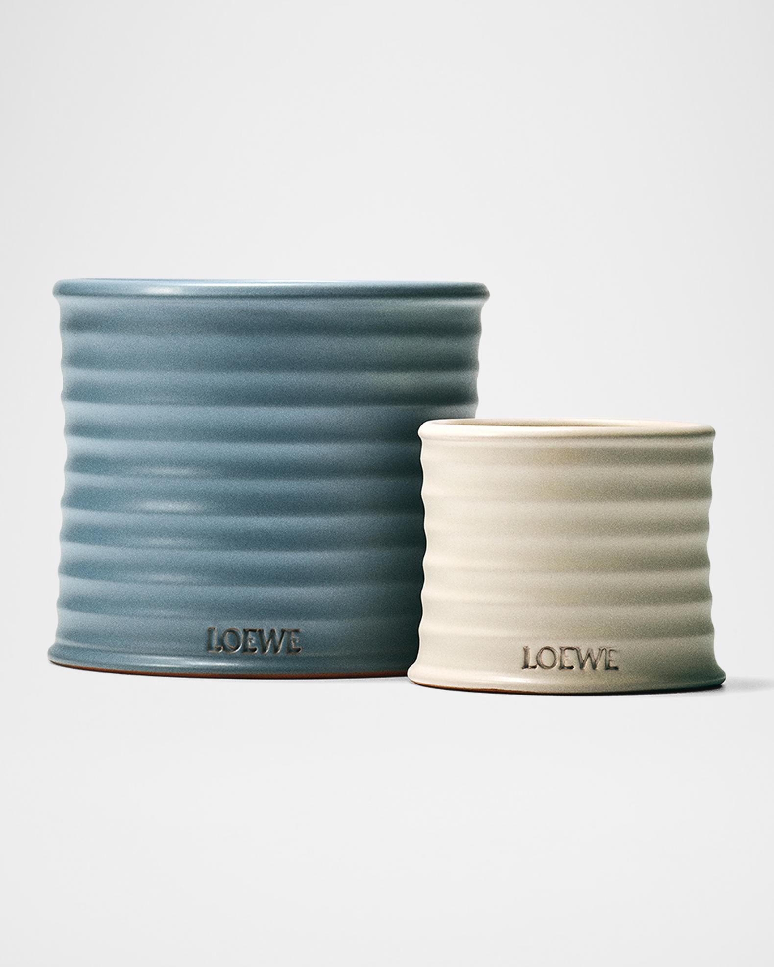 LOEWE 74.8 oz. Large Cypress Balls Candle | Neiman Marcus