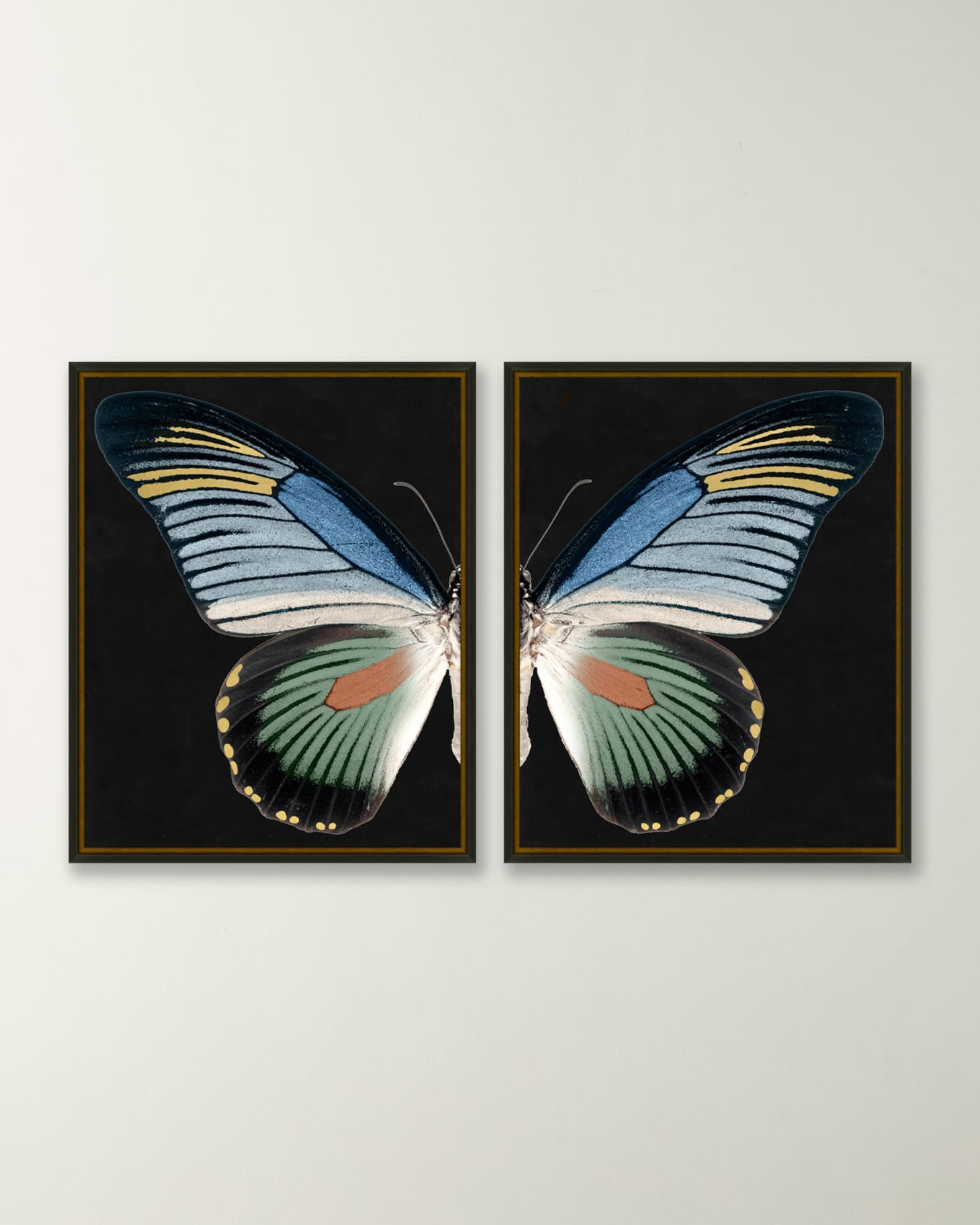 "Gilded Wings 2" Giclees, Set of 2  0