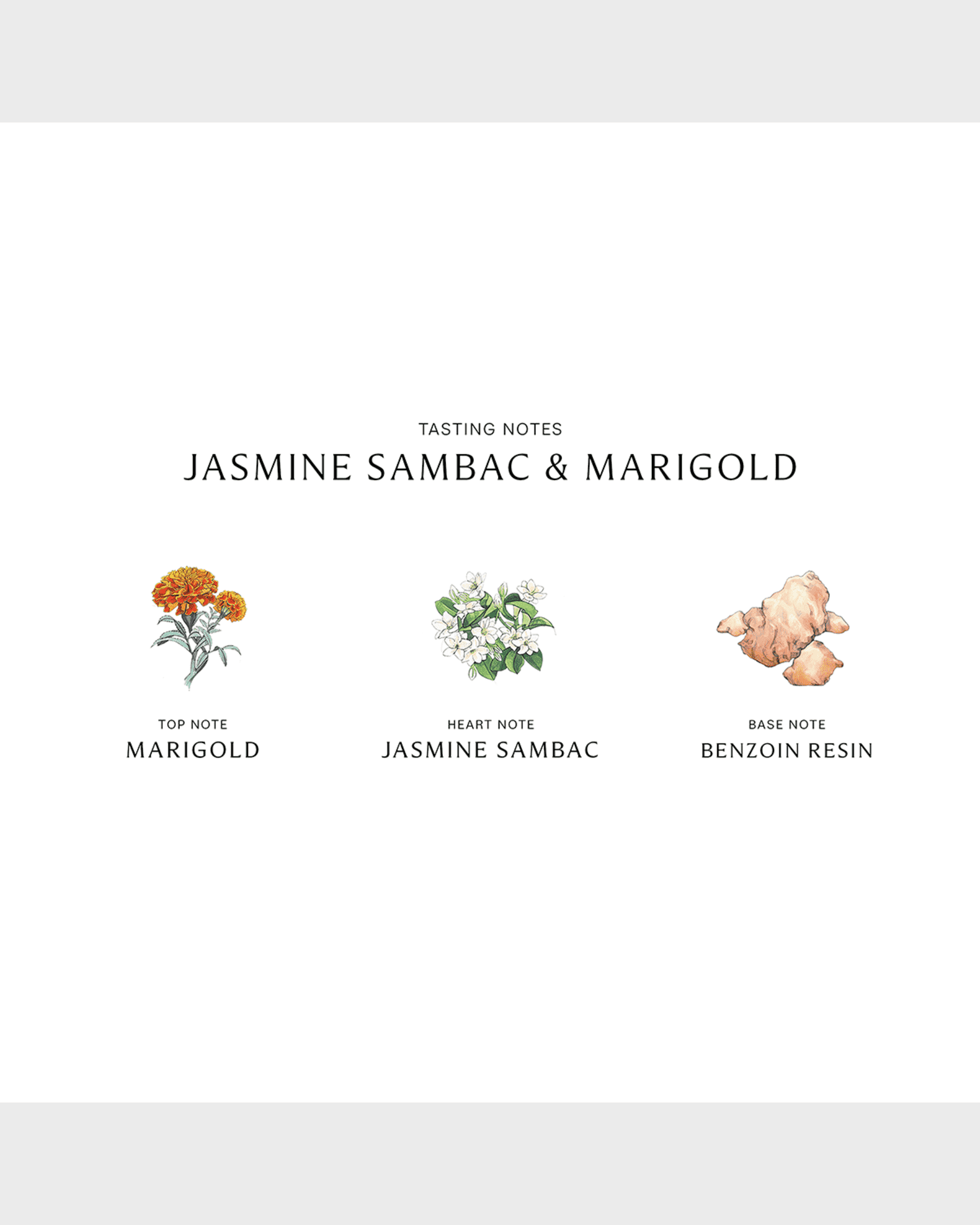 Jo Malone London Jasmine Sambac and Marigold Cologne Intense, 3.4