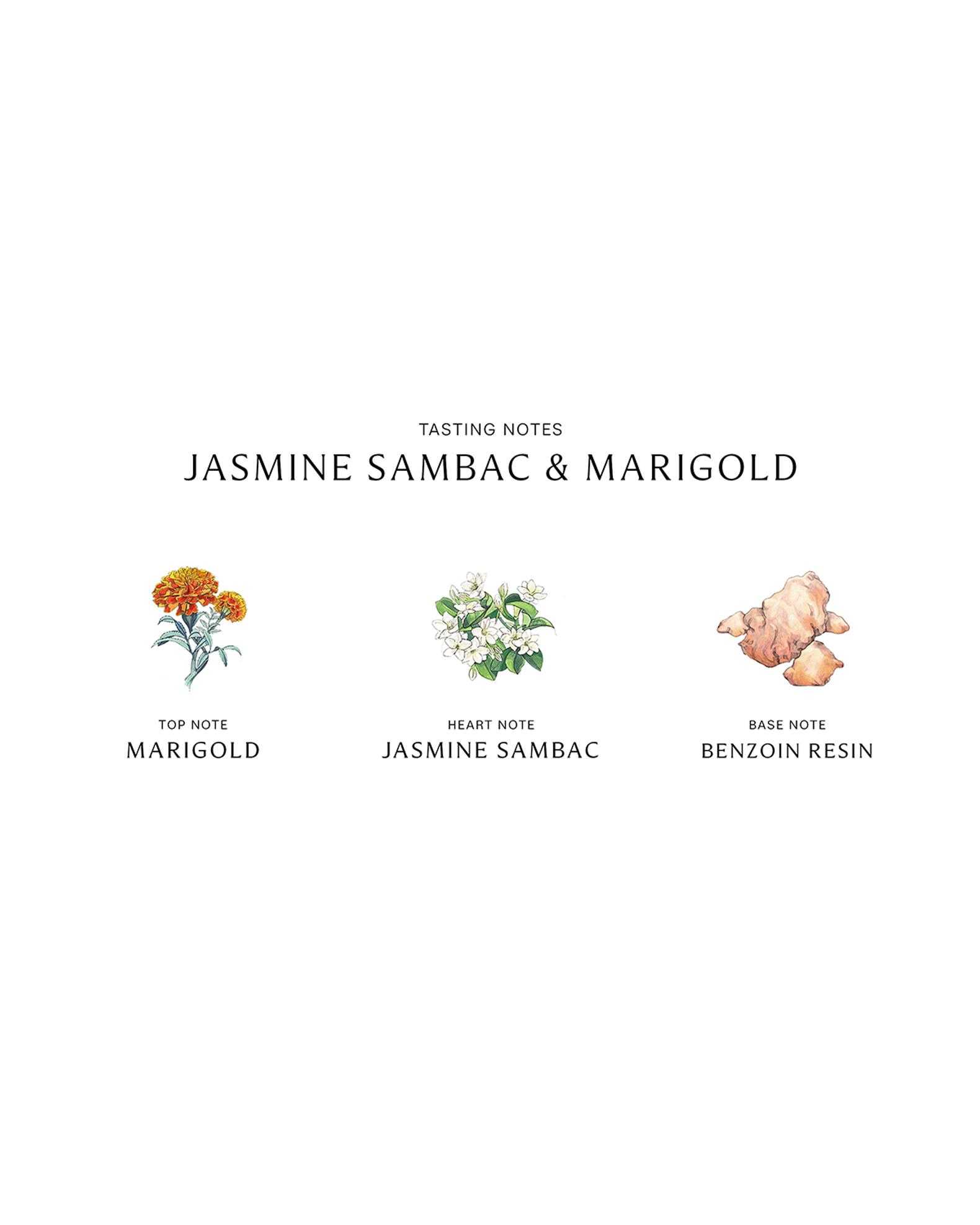 Jo Malone London Jasmine Sambac and Marigold Cologne Intense, 1.7 