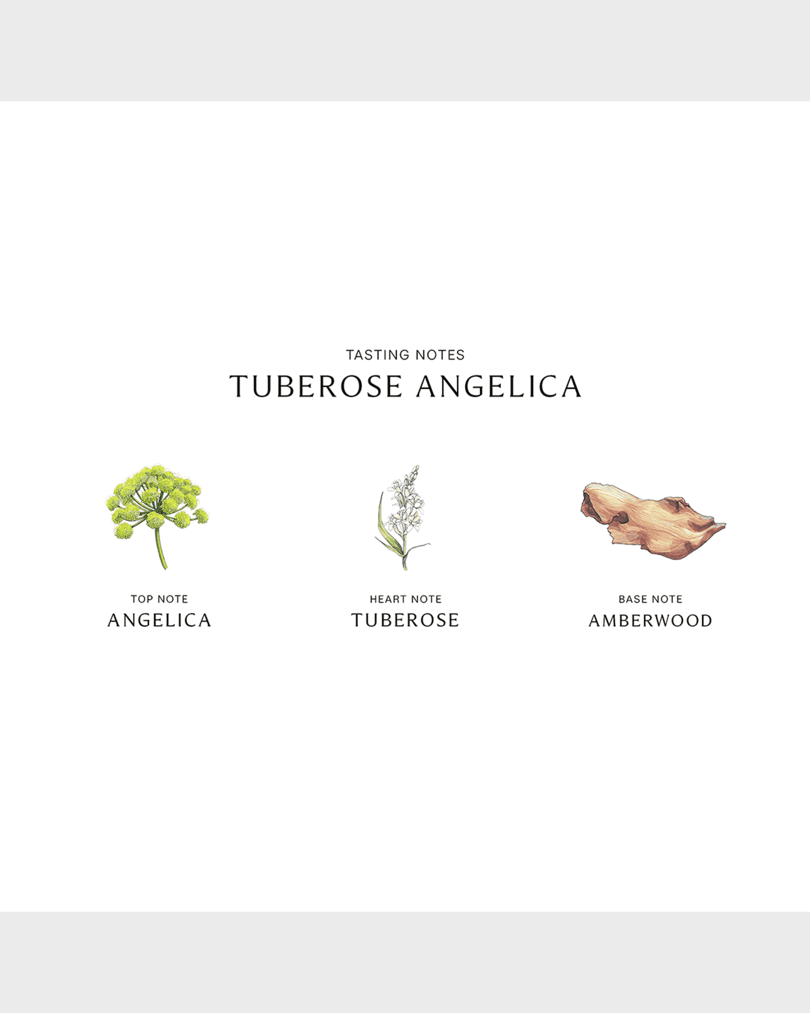 Jo Malone London Tuberose Angelica Cologne Intense, 3.4 oz
