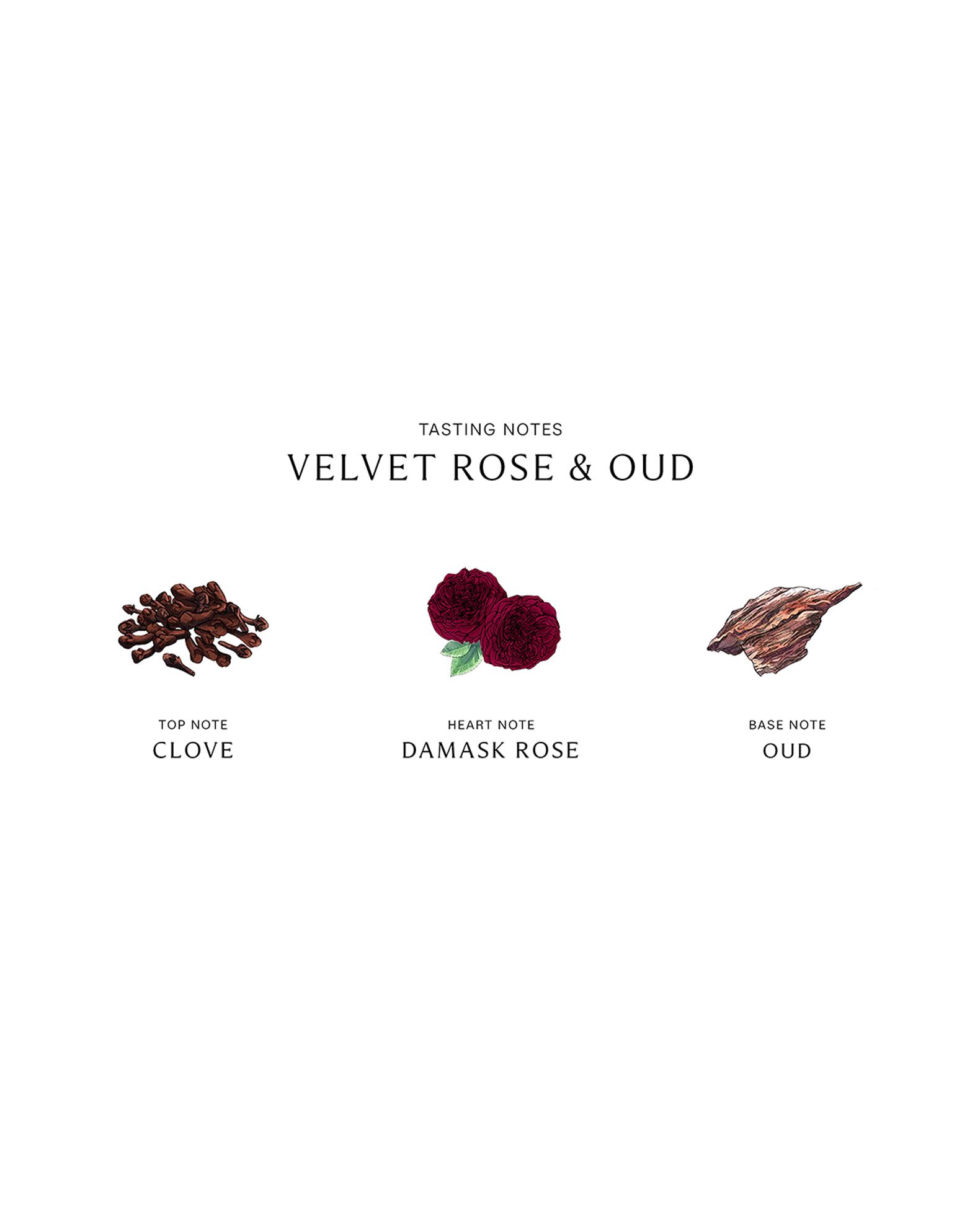 Velvet Rose and Oud Cologne Intense | Neiman Marcus