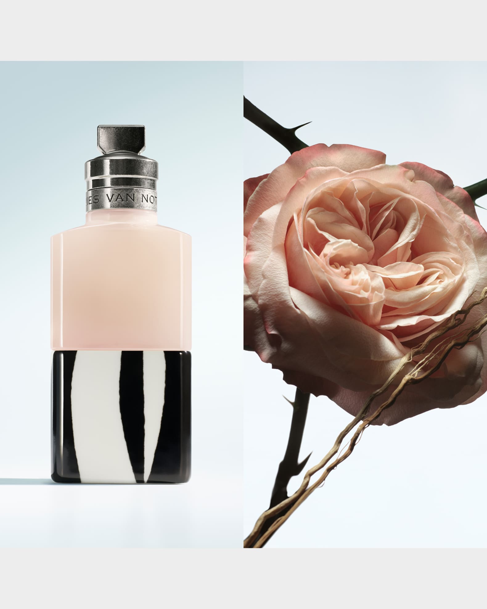 Rosa Carnivora Eau de Parfum, 3.4 oz. 1