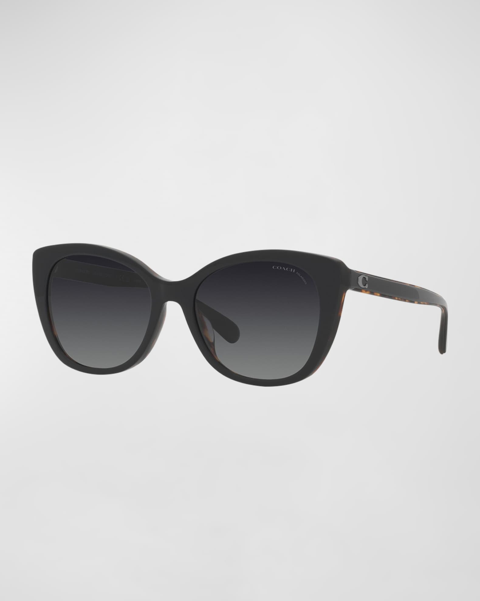 Polarized C-Monogram Acetate Cat-Eye Sunglasses  0