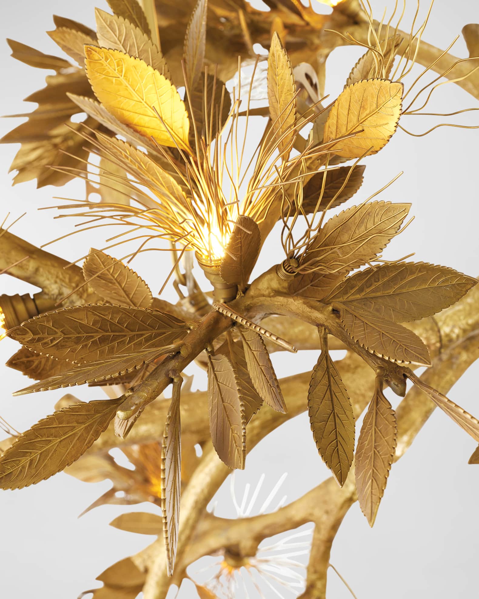 Albizia Chandelier  1