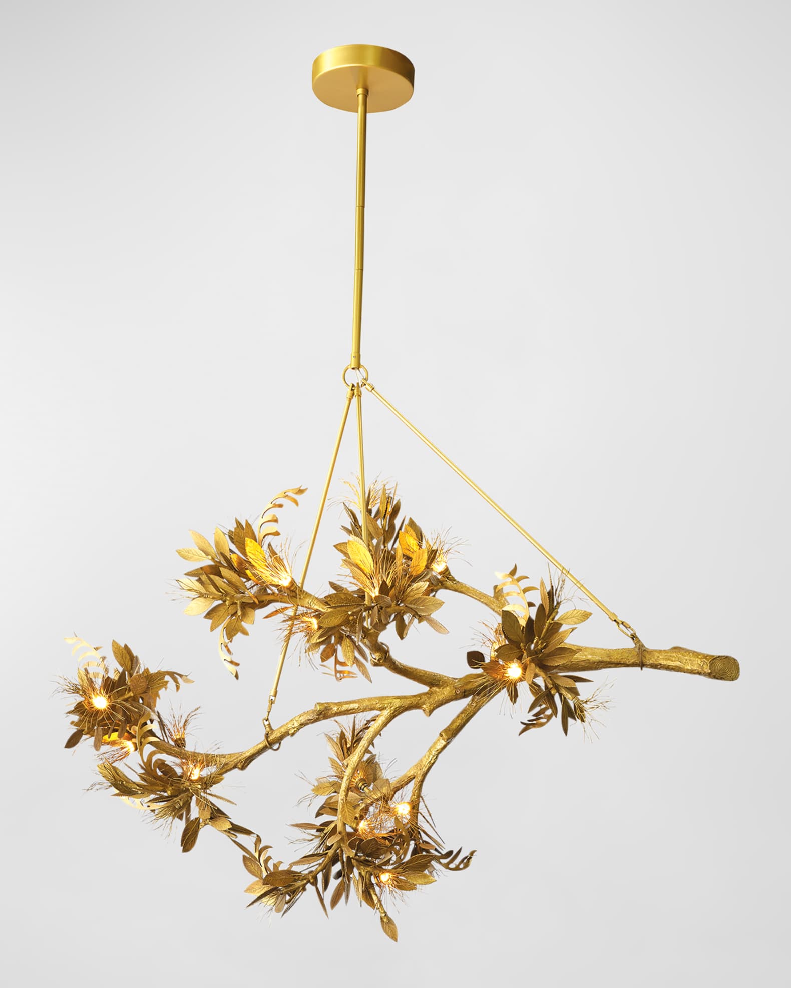 Albizia Chandelier  0