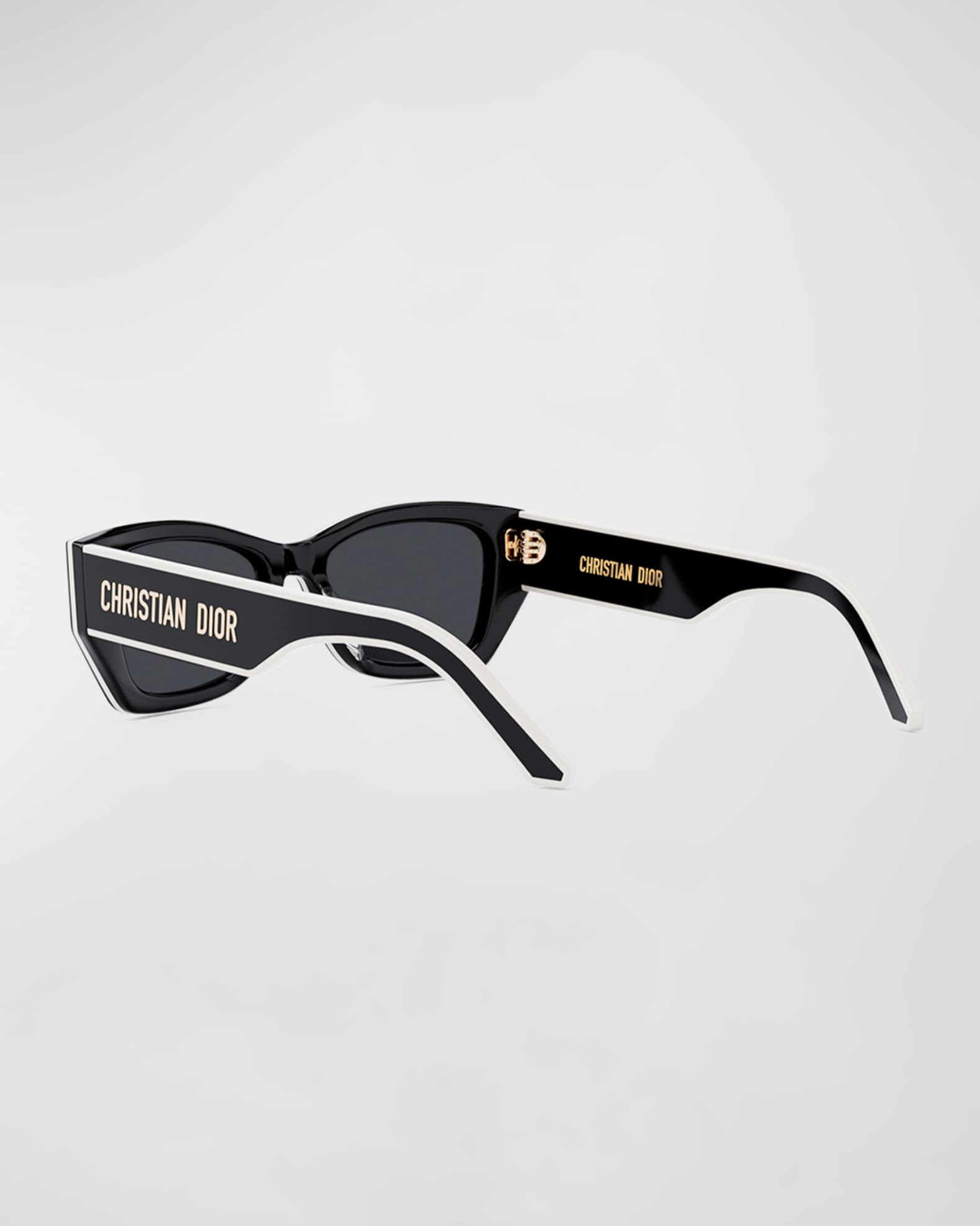 DiorPacific S2U Sunglasses  1