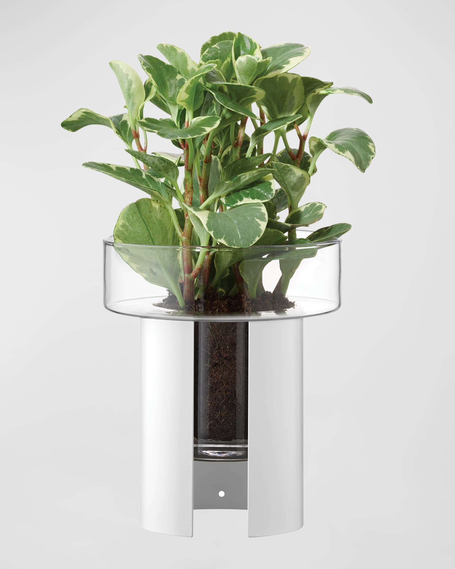 Terrazza Planter - 8.8" 1