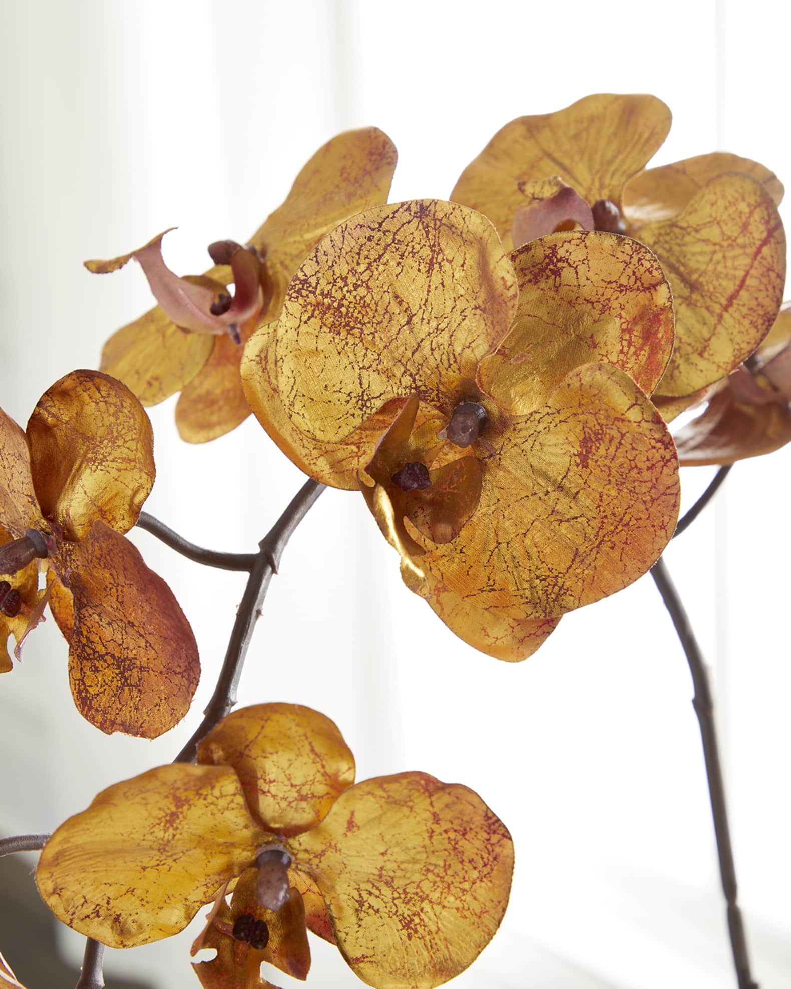 Burnished Orchid Arrangement  1