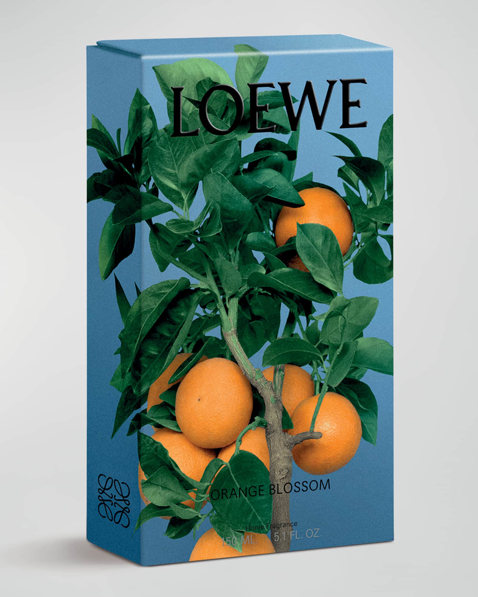 Loewe orange clearance