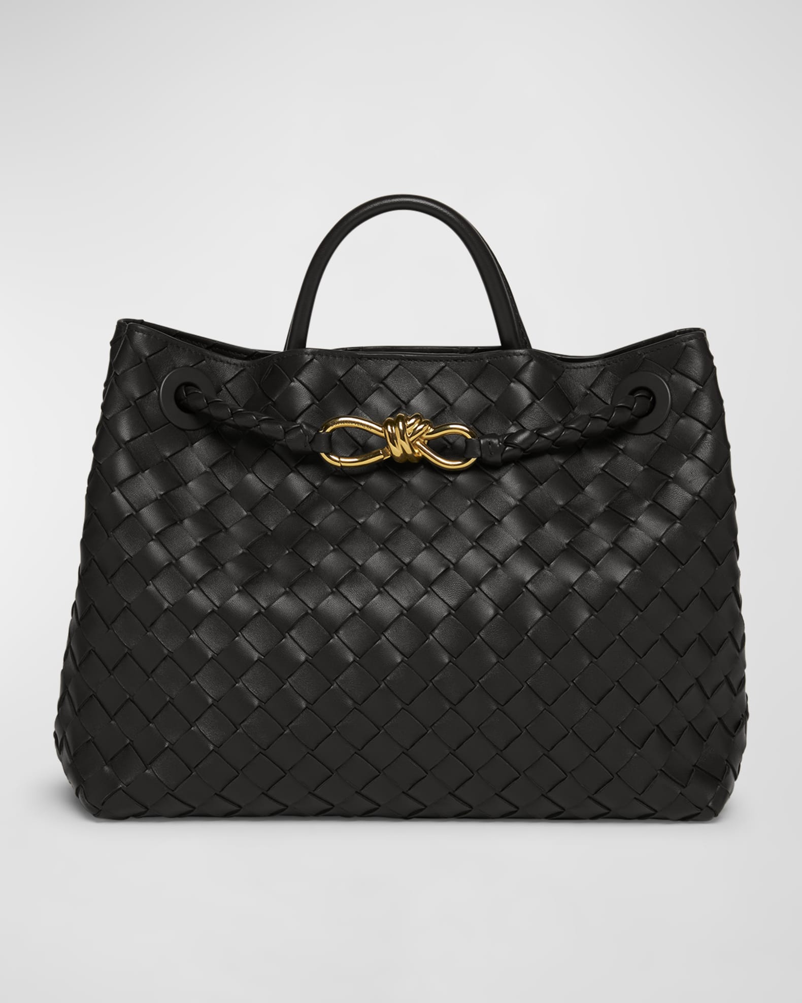 Bottega Veneta Medium Andiamo Bag
