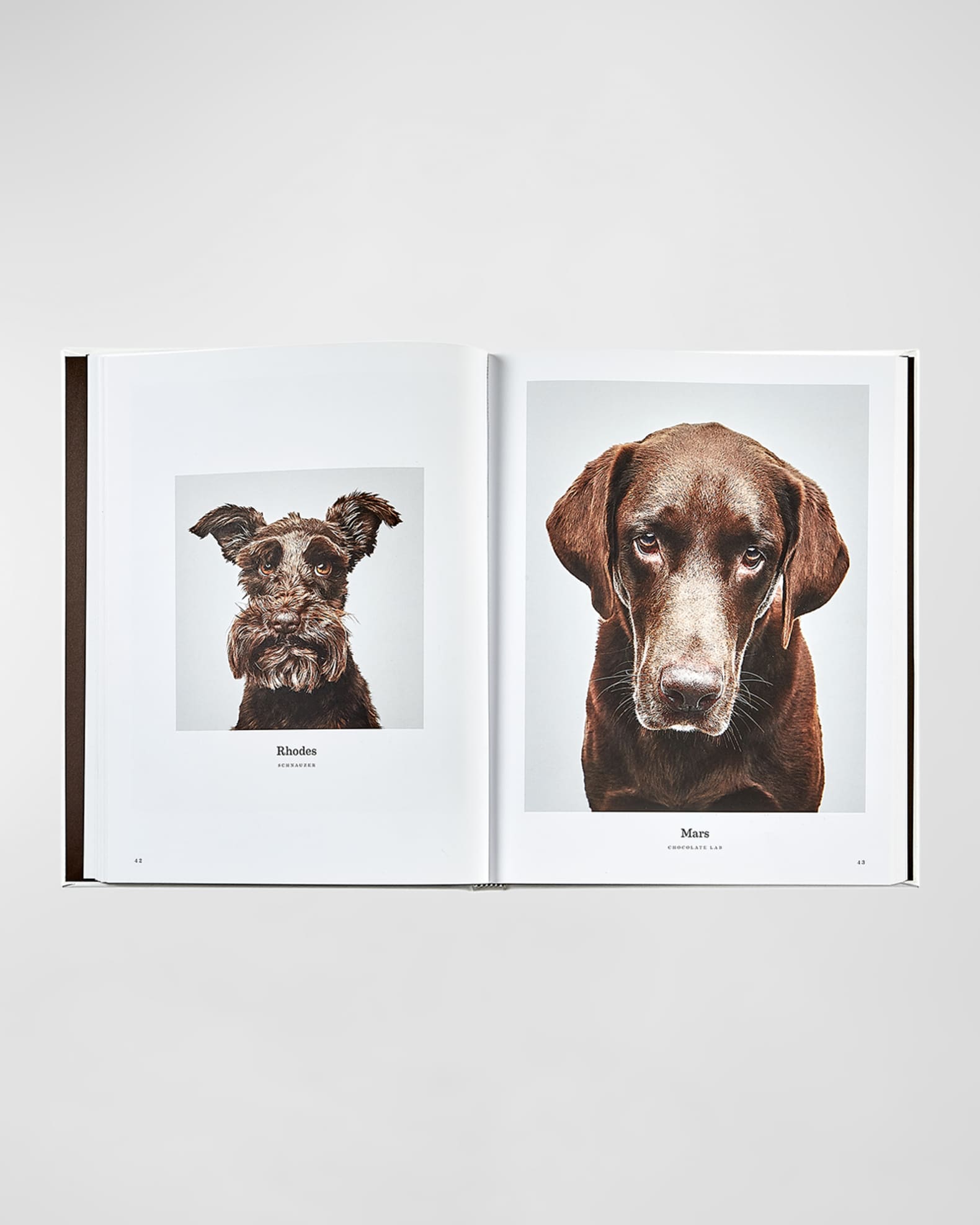 "Good Dogs" Book 1