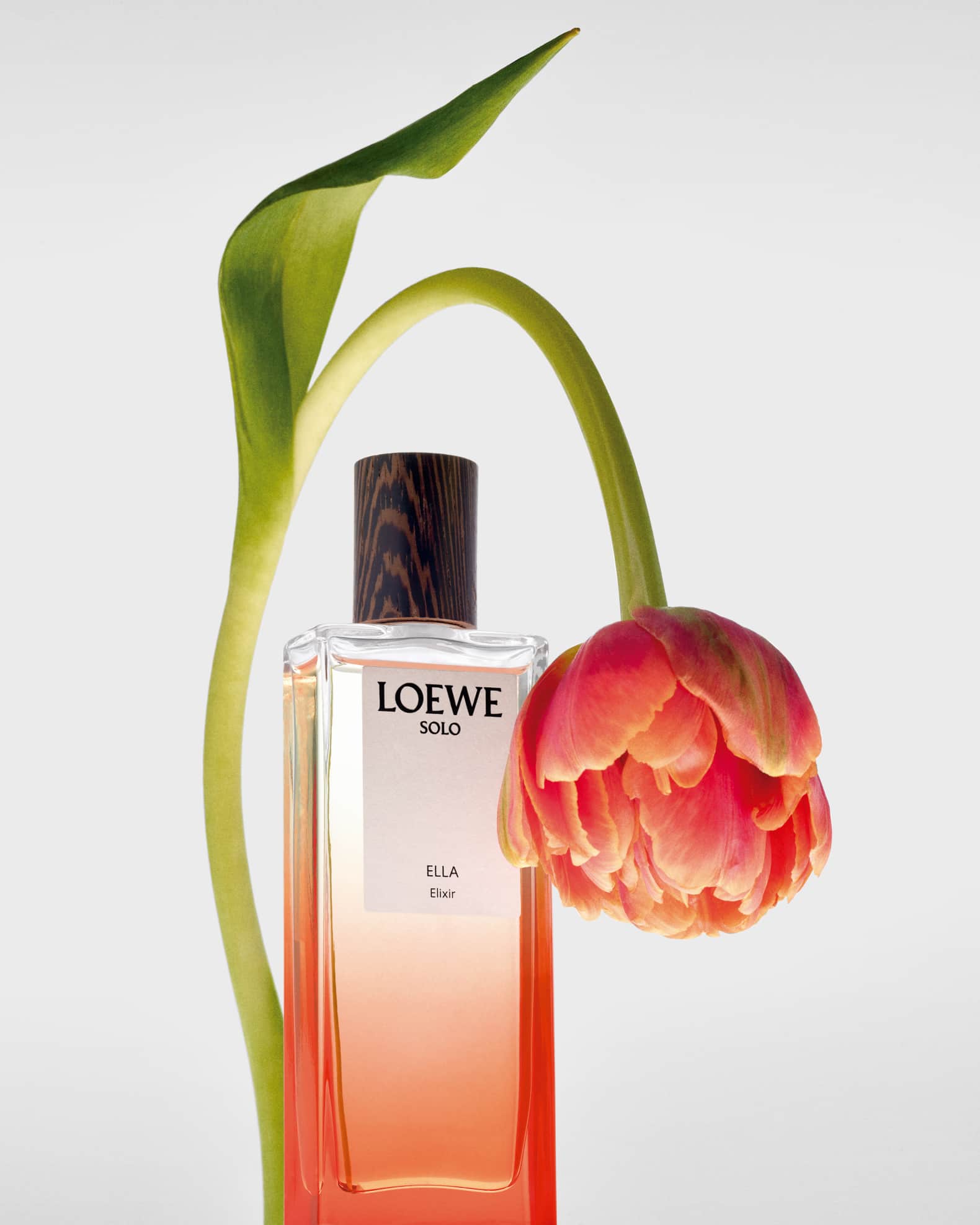 Amazon.com : LOEWE - Solo Ella Elixir Eau de Parfum 1.7 Fl