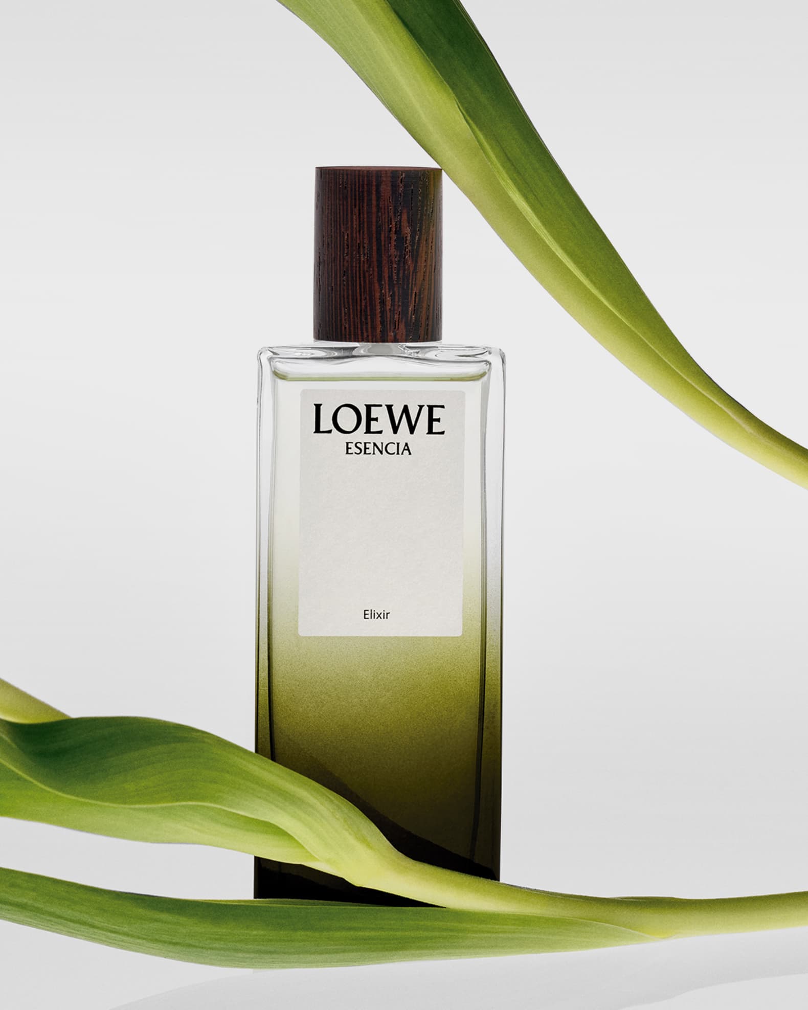 LOEWE ESENCIA Elixir 50ml - 香水(男性用)