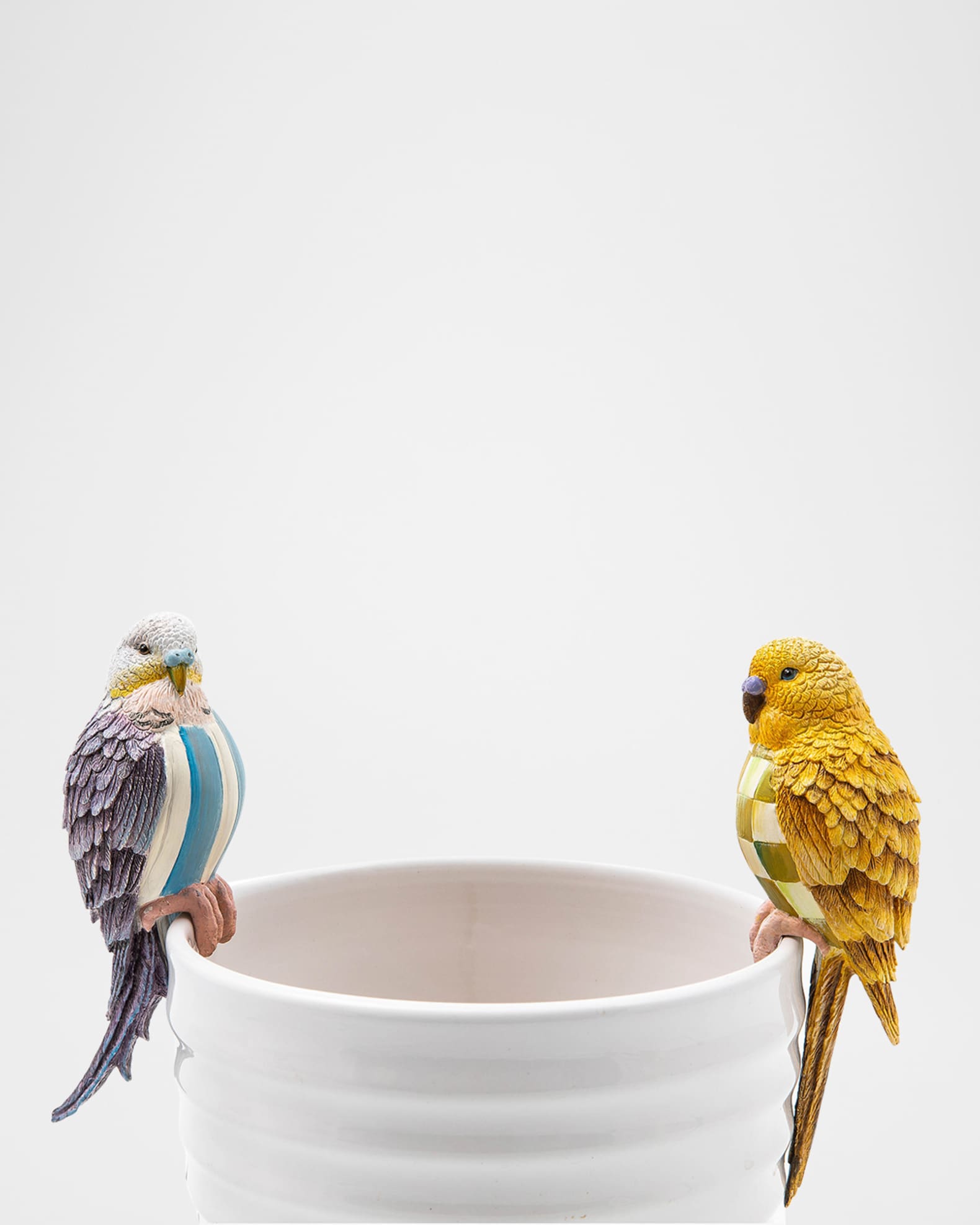 Blue Parakeet Pot Climber 1