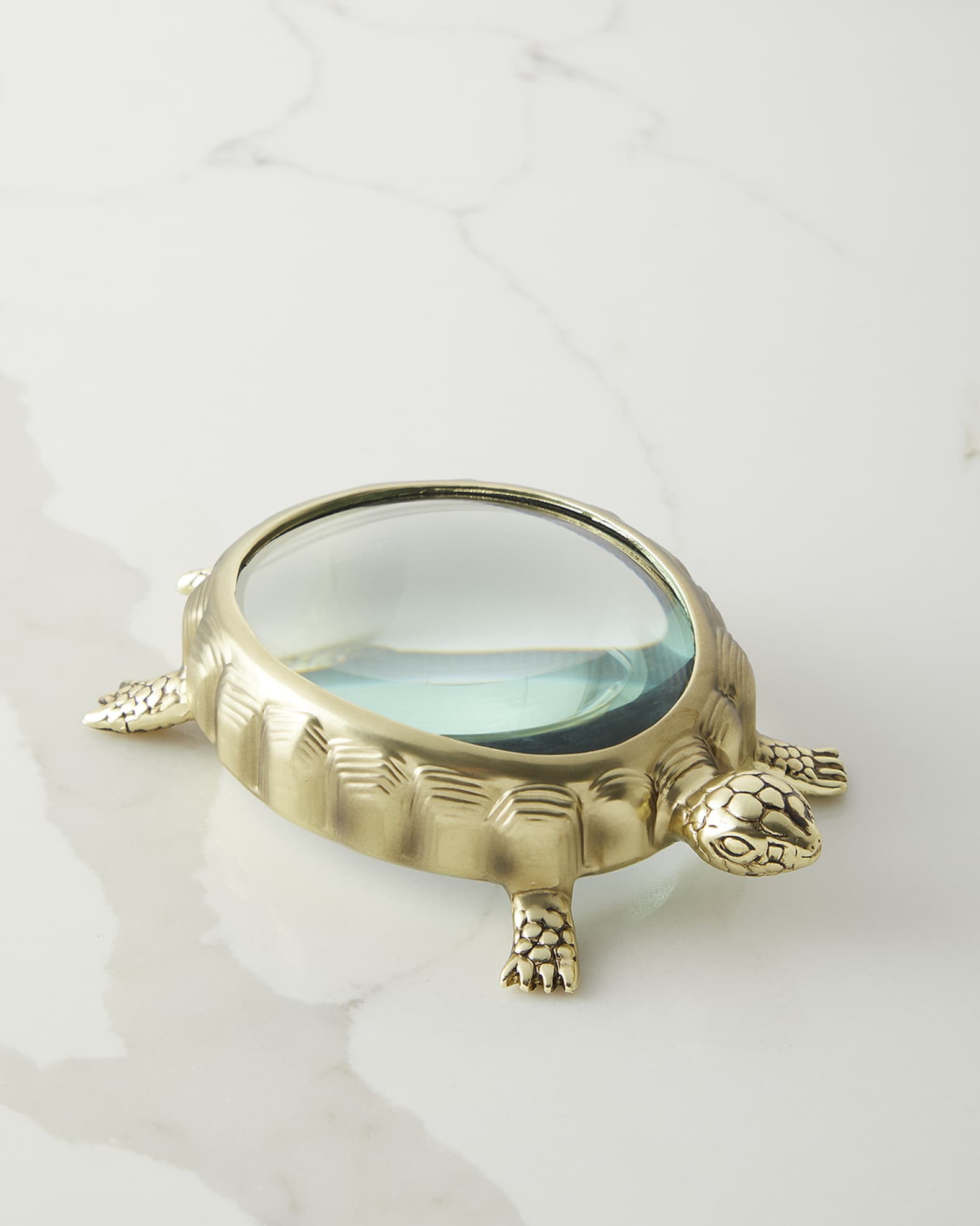 Turtle Magnifying Glass 1