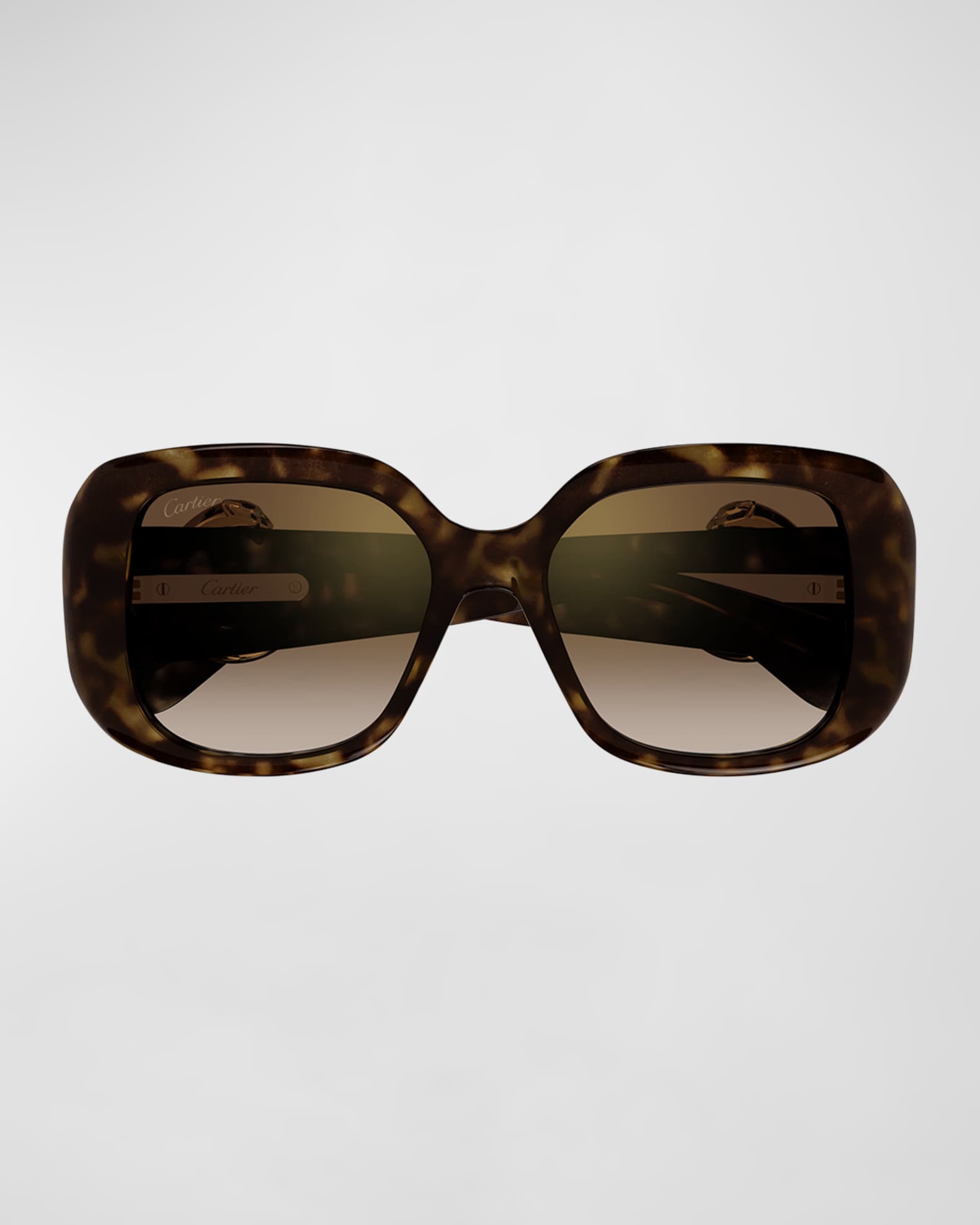 Panther-C Acetate Square Sunglasses  0