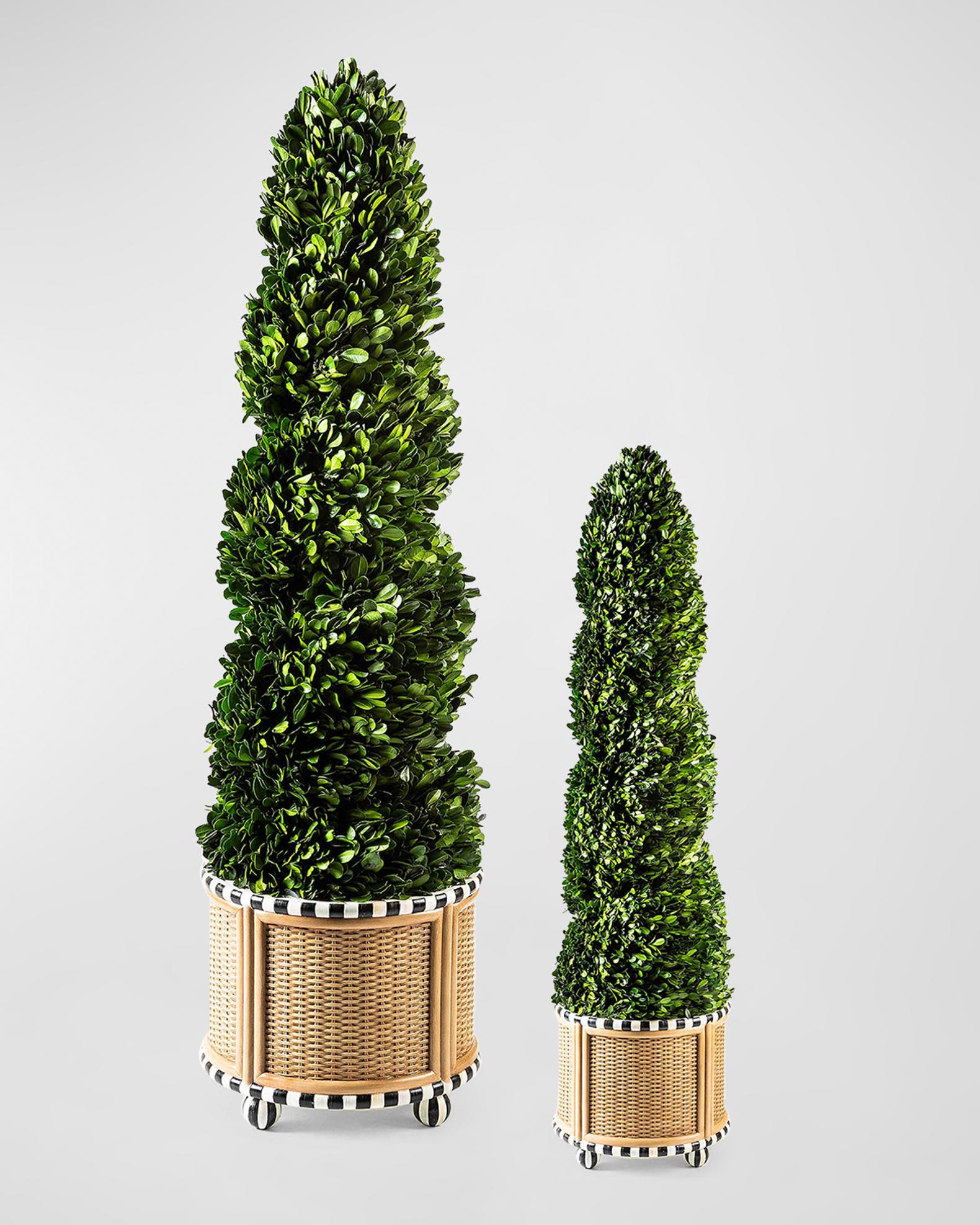 Basket Weave Spiral Boxwood Topiary Collection | Neiman Marcus