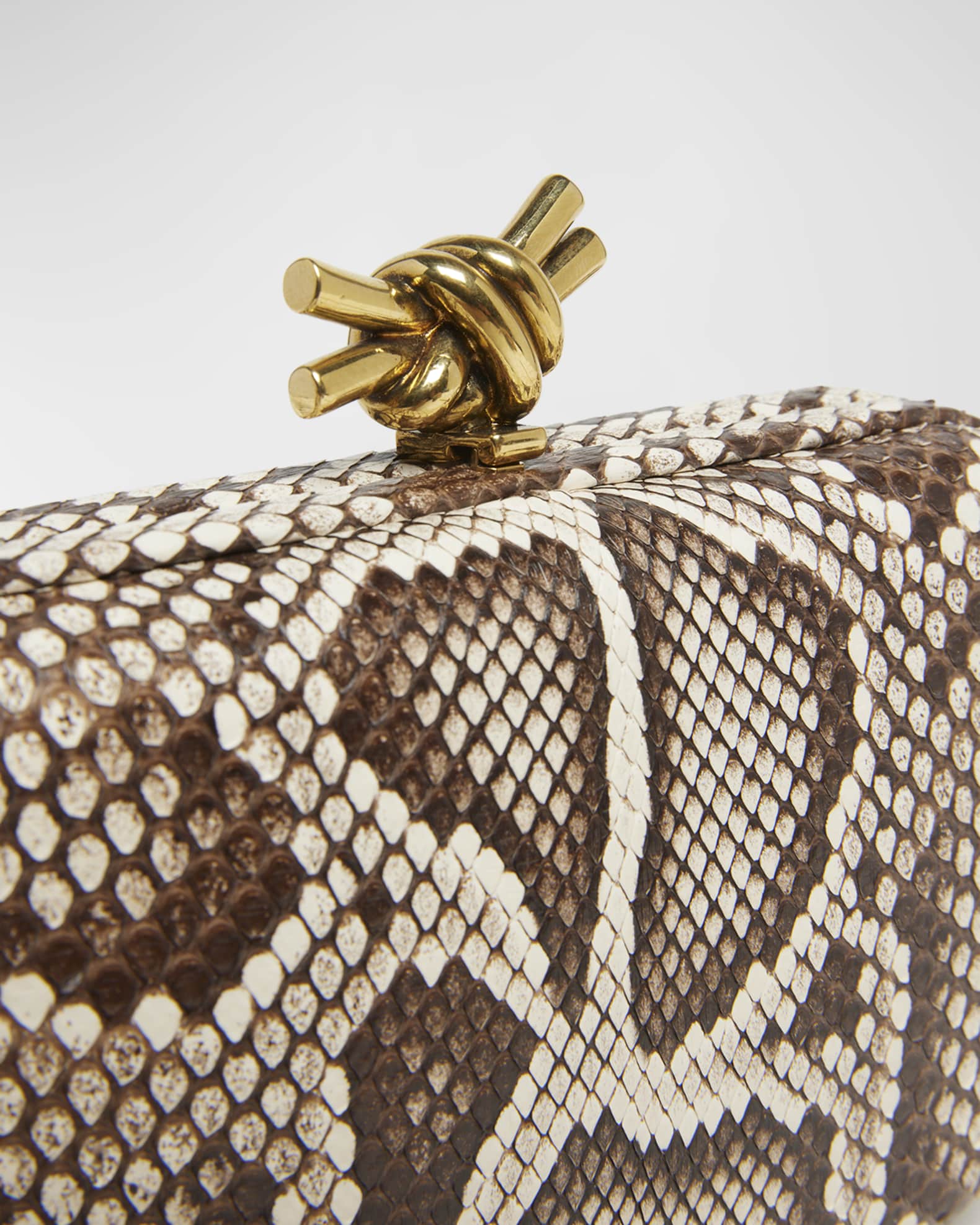 Knot Python Minaudiere