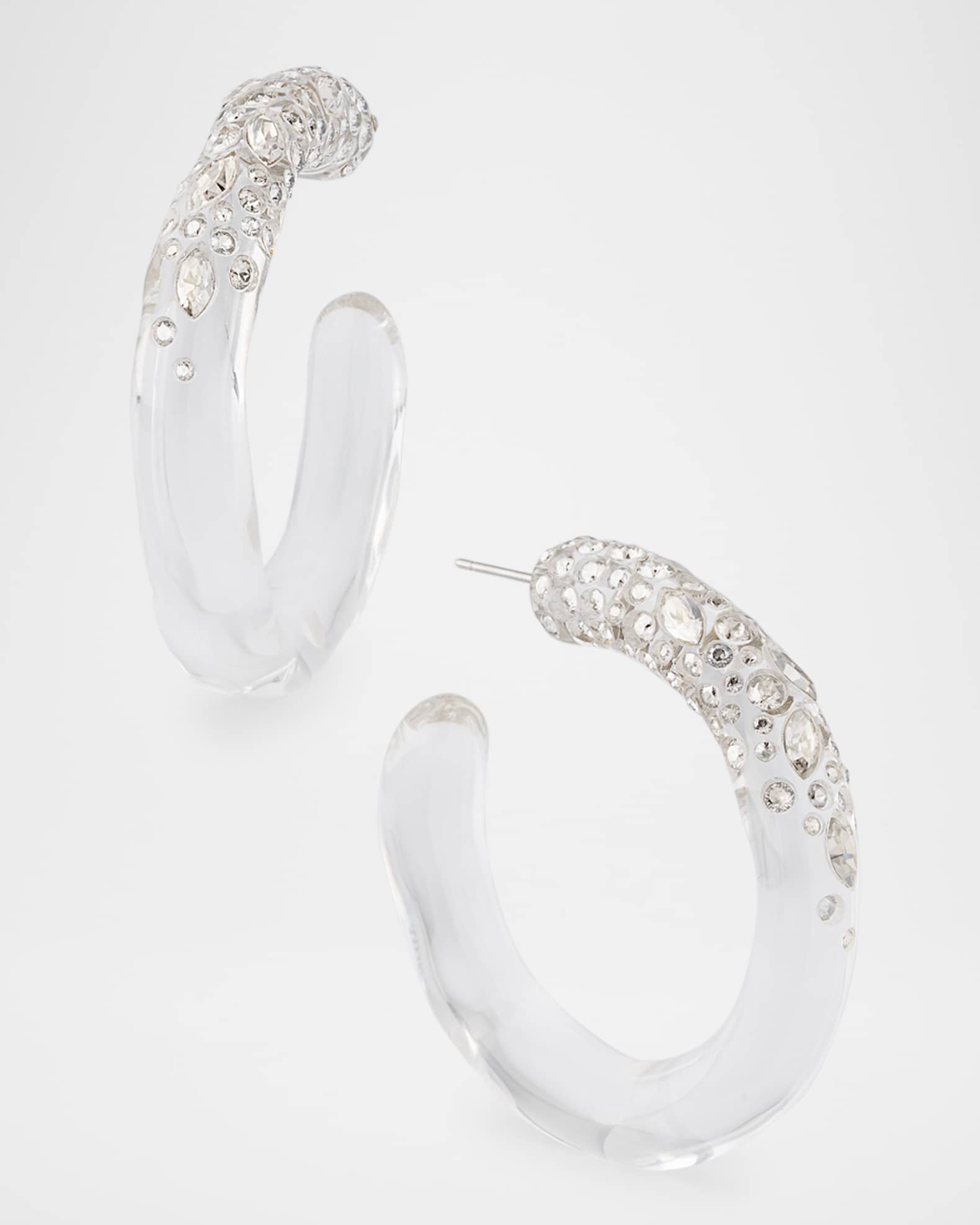 Confetti Crystal Lucite Hoop Earrings 0