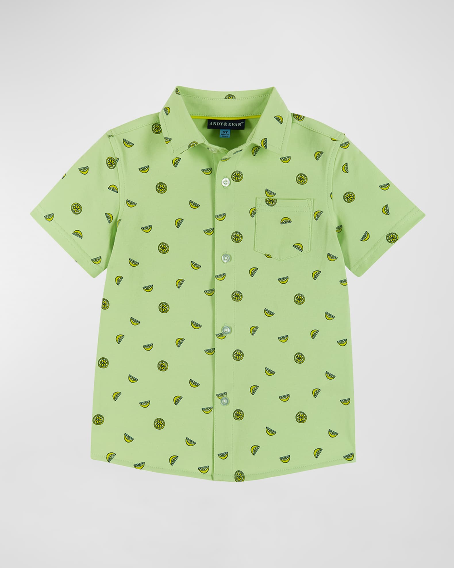 Boy's Printed Button Down Shirt, Size 2T-8 0