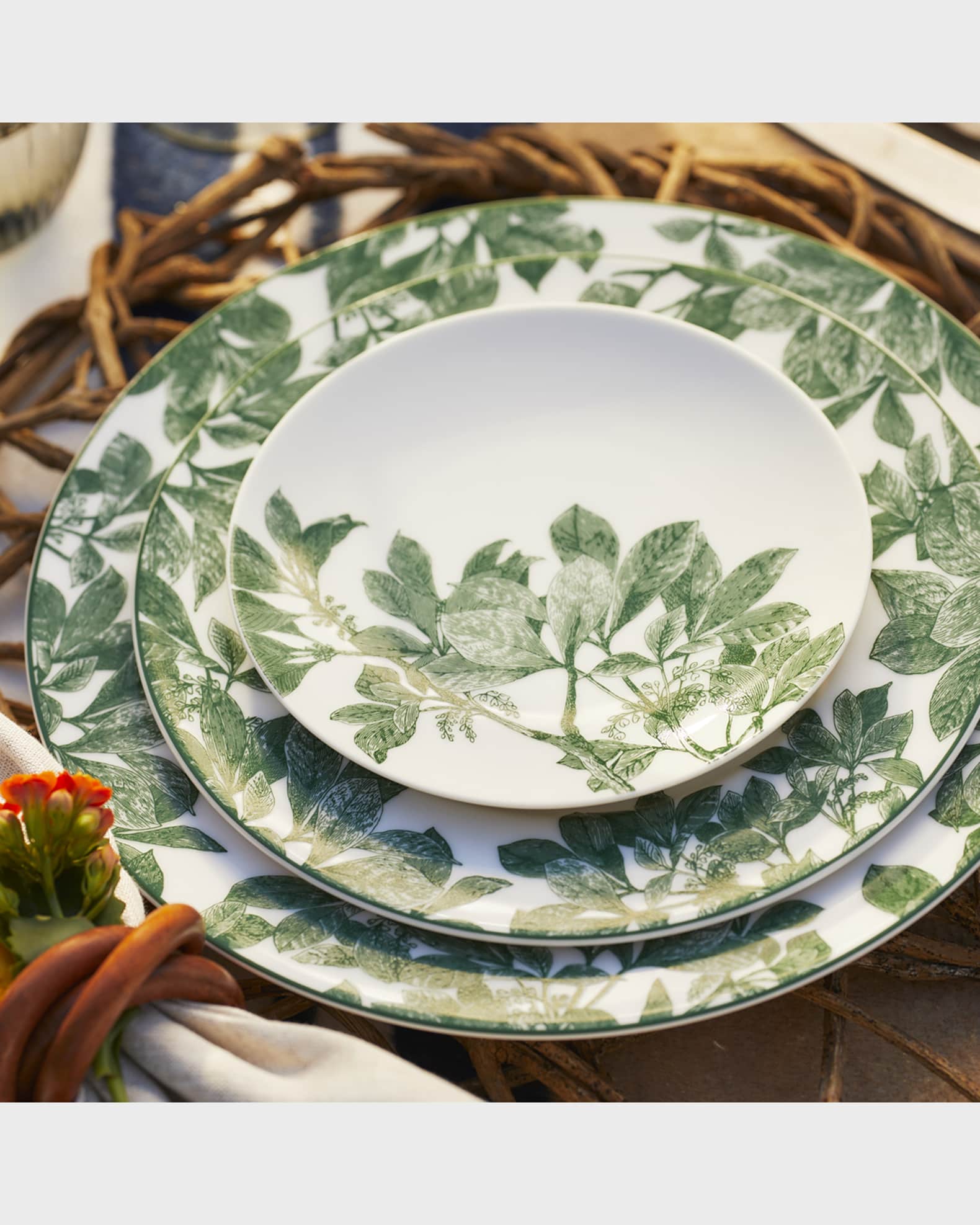 Arbor Green Rimmed Dinner Plates 0