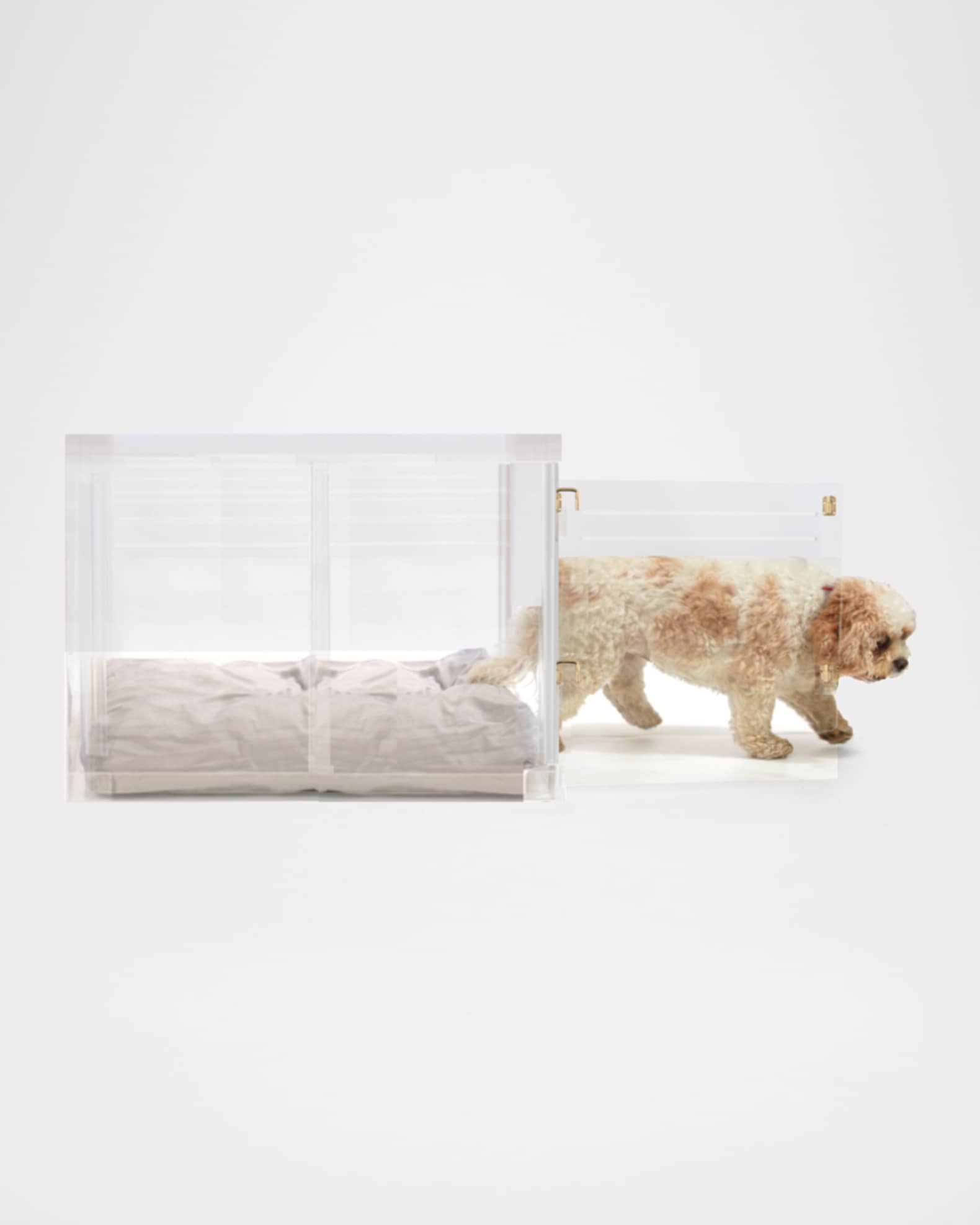 A closer look at Deluxe Pet Recipient Comfortable Crate Latch