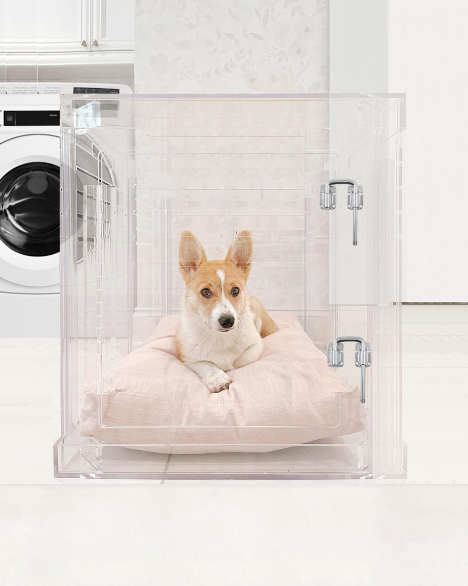 Picture Idea: Small Clear View Pet Crate With Silver Latch