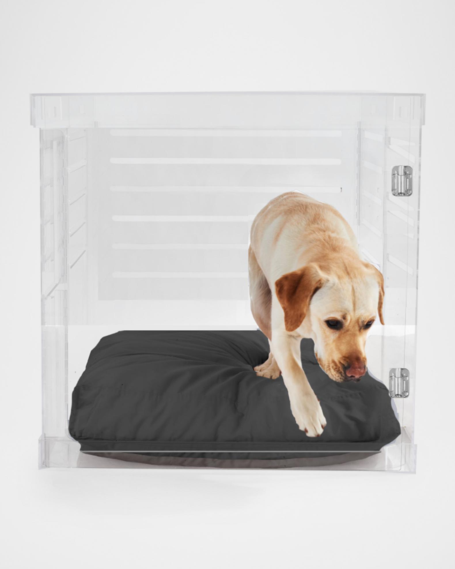 HIDDIN Large Clear View Pet Crate with Silver Latch | Neiman Marcus - Submerged Pet Crate Latch