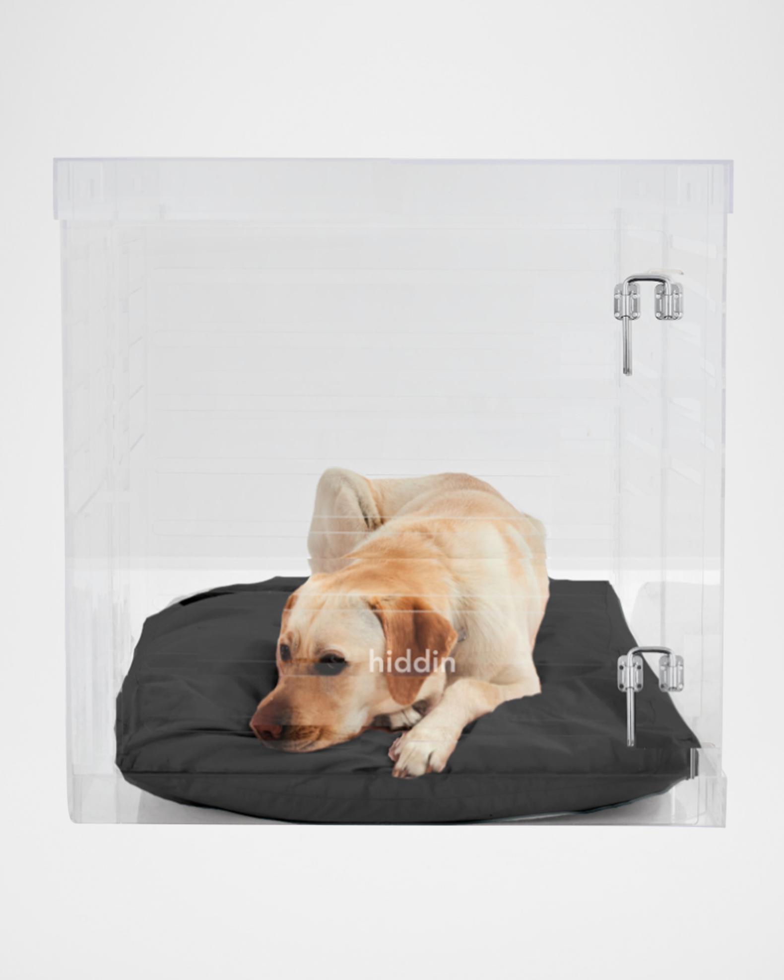 Beautiful view of Submerged Pet Crate Latch