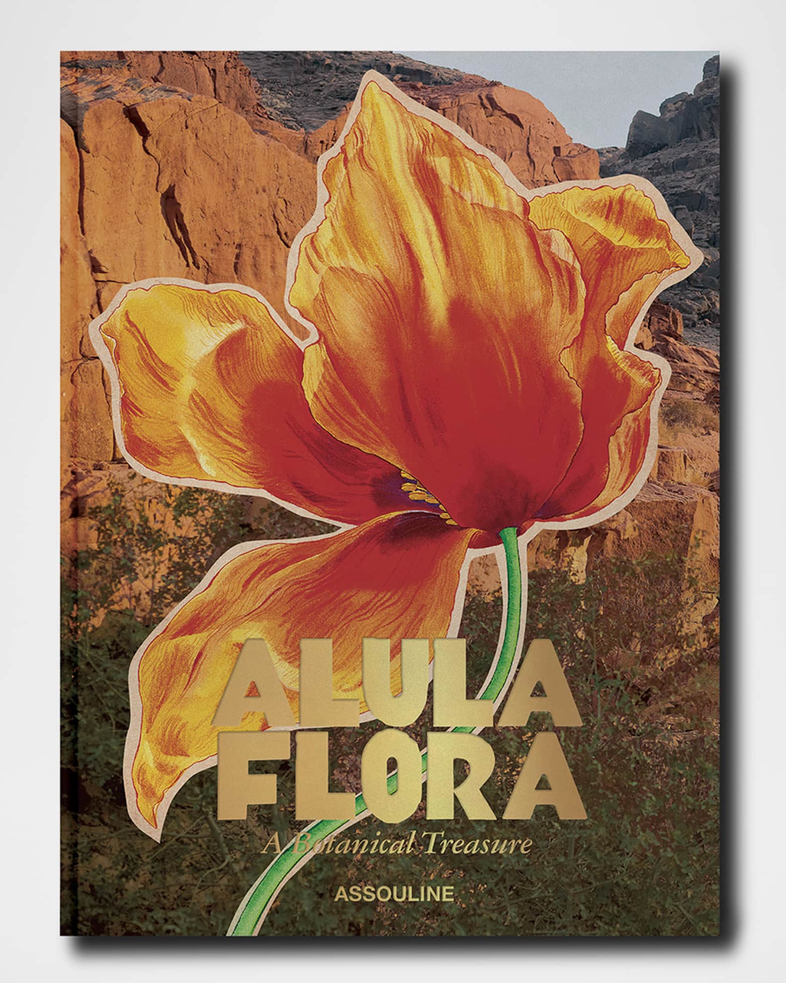 "AlUla Flora: A Botanical Treasure" Book by Abdulaziz Assaeed 0
