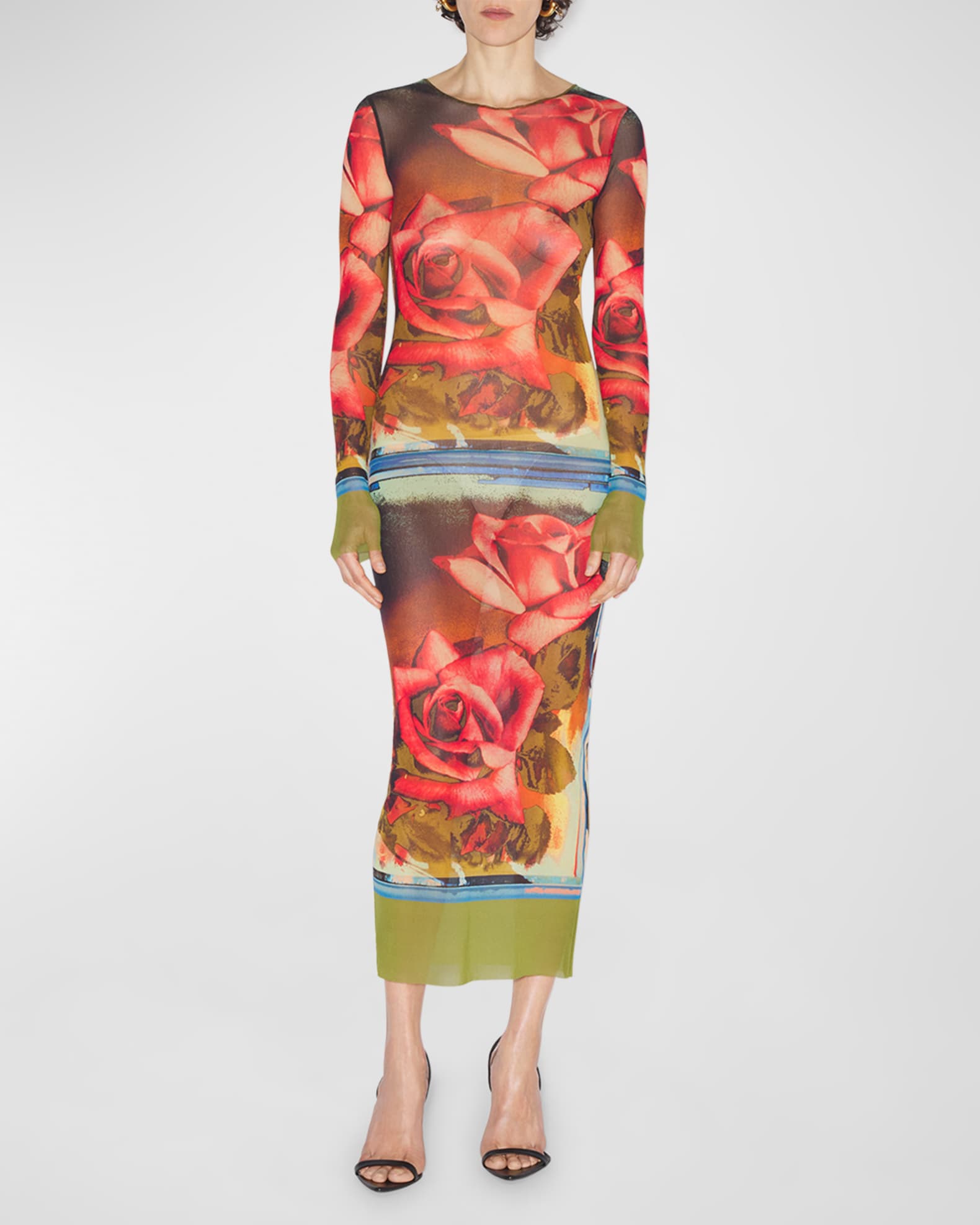 Roses-Print Long-Sleeve Mesh Maxi Dress