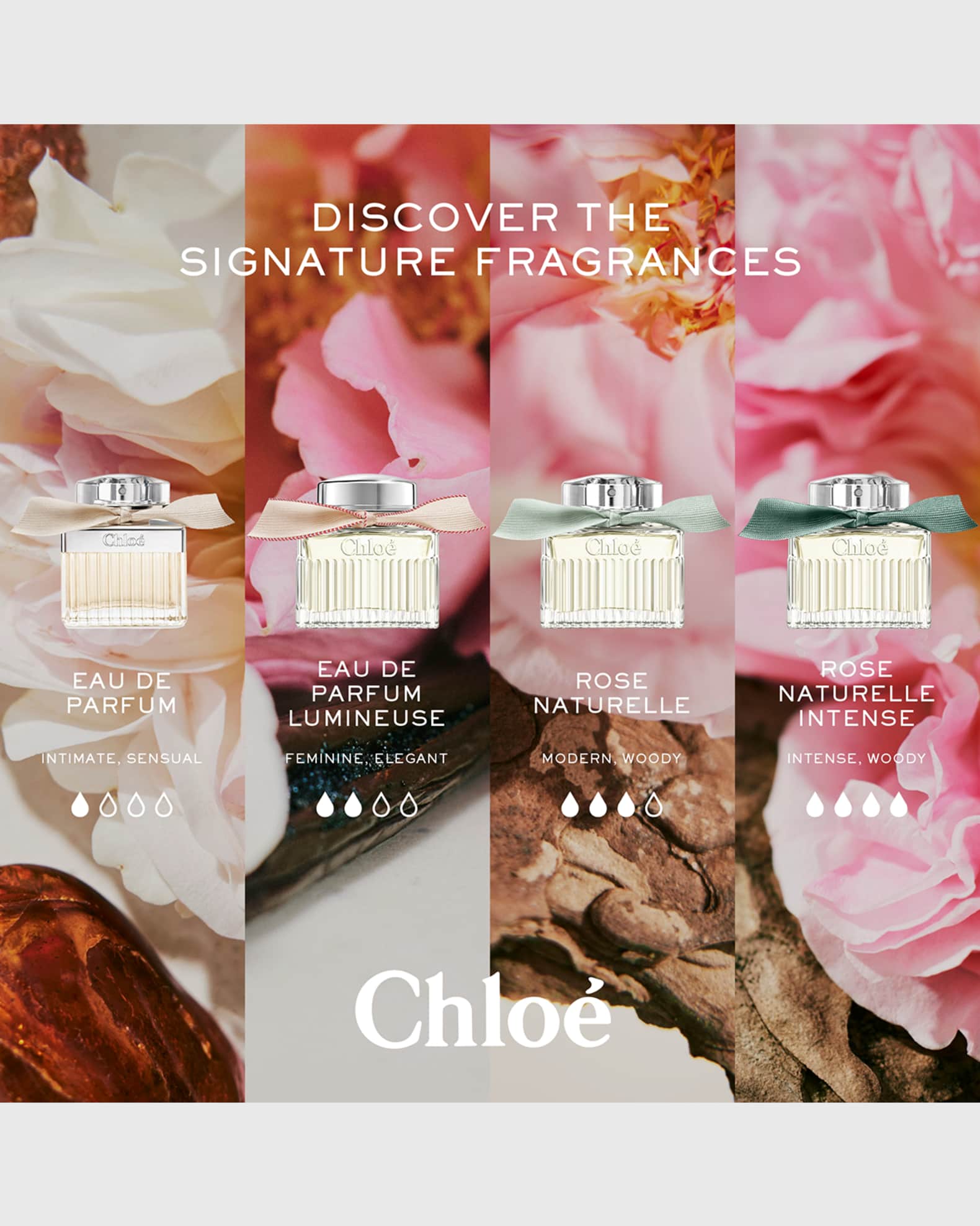 Chloe Eau de Parfum Intense Rose Naturelle Intense, 3.3 oz