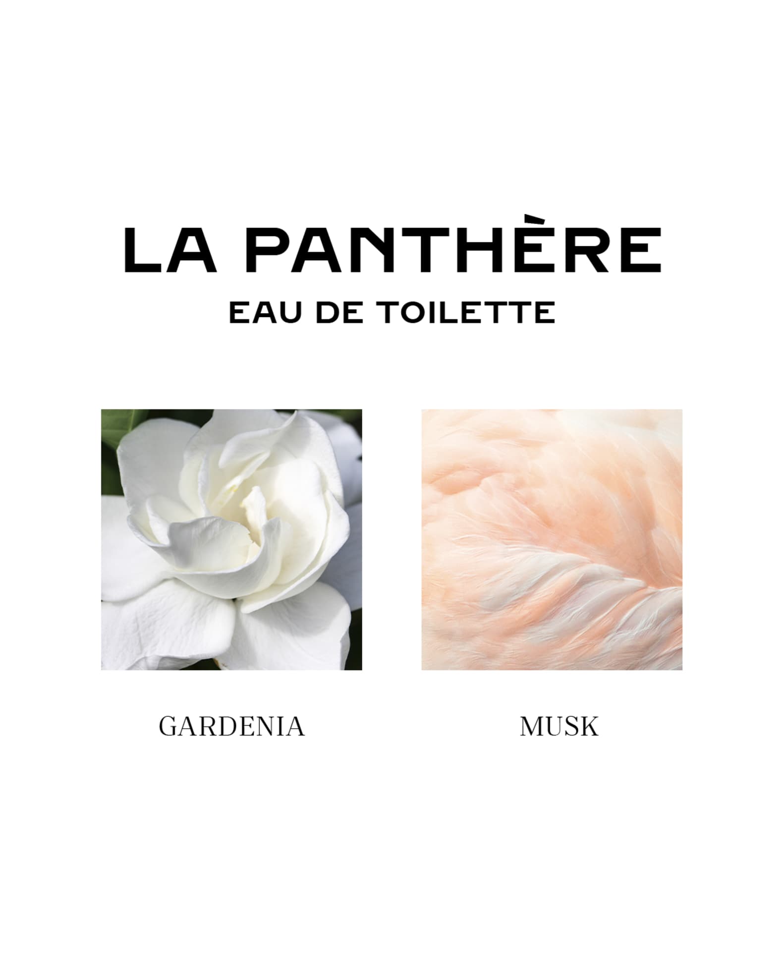 La Panthere Eau de Toilette, 3.4 oz. 1