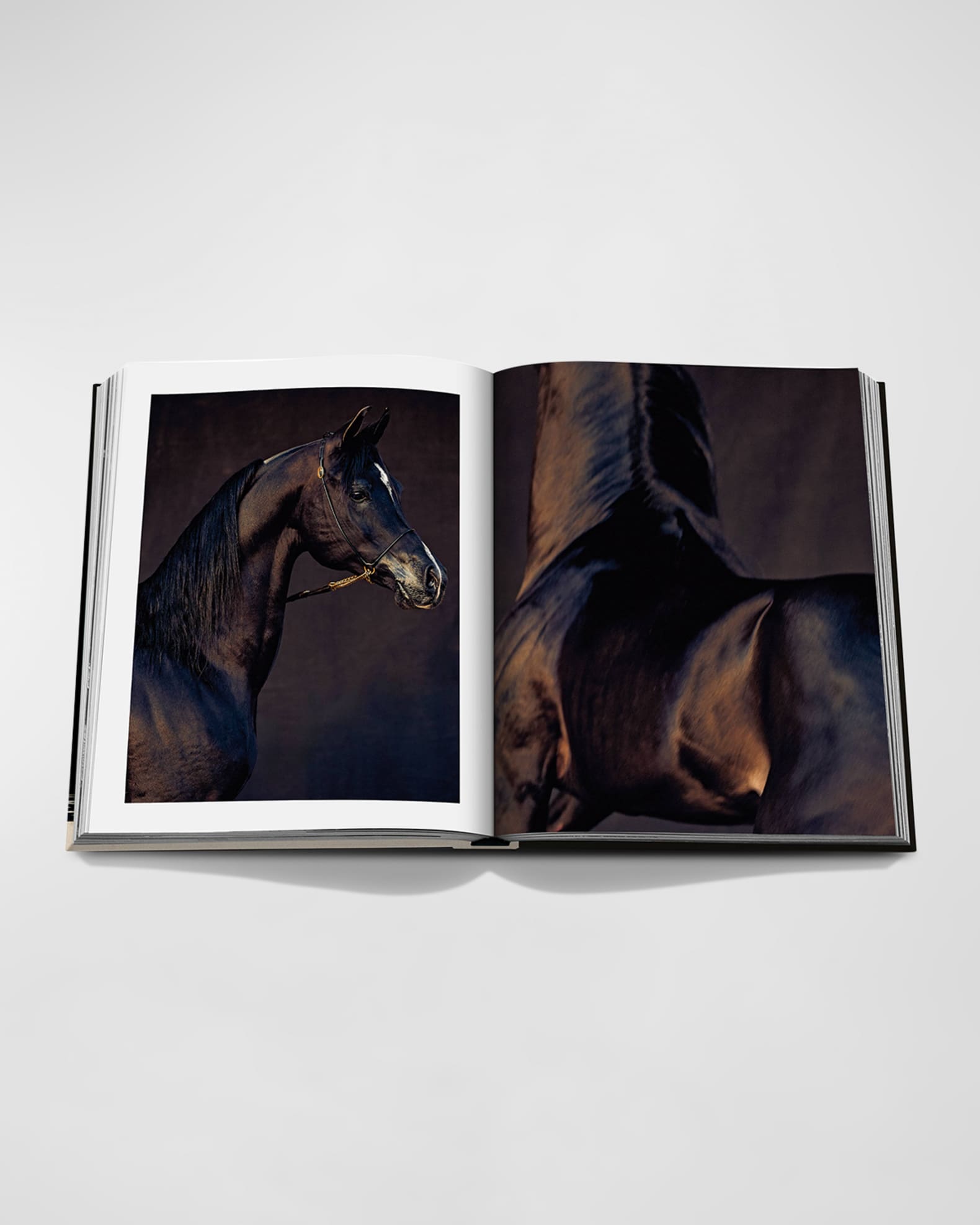"Horses from Saudi Arabia" Book by Debbie Burt 1