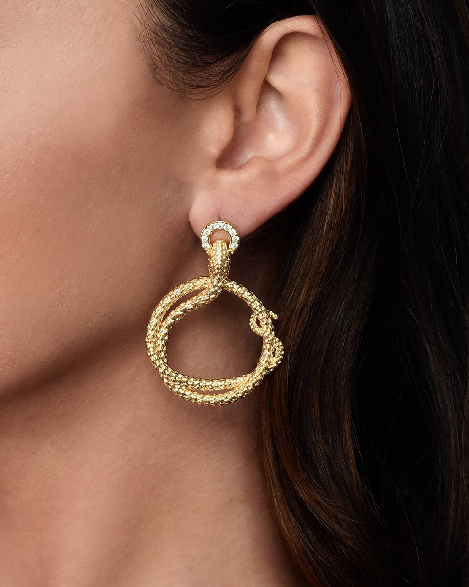 Serpent Holding Ring Hoop Earrings 1