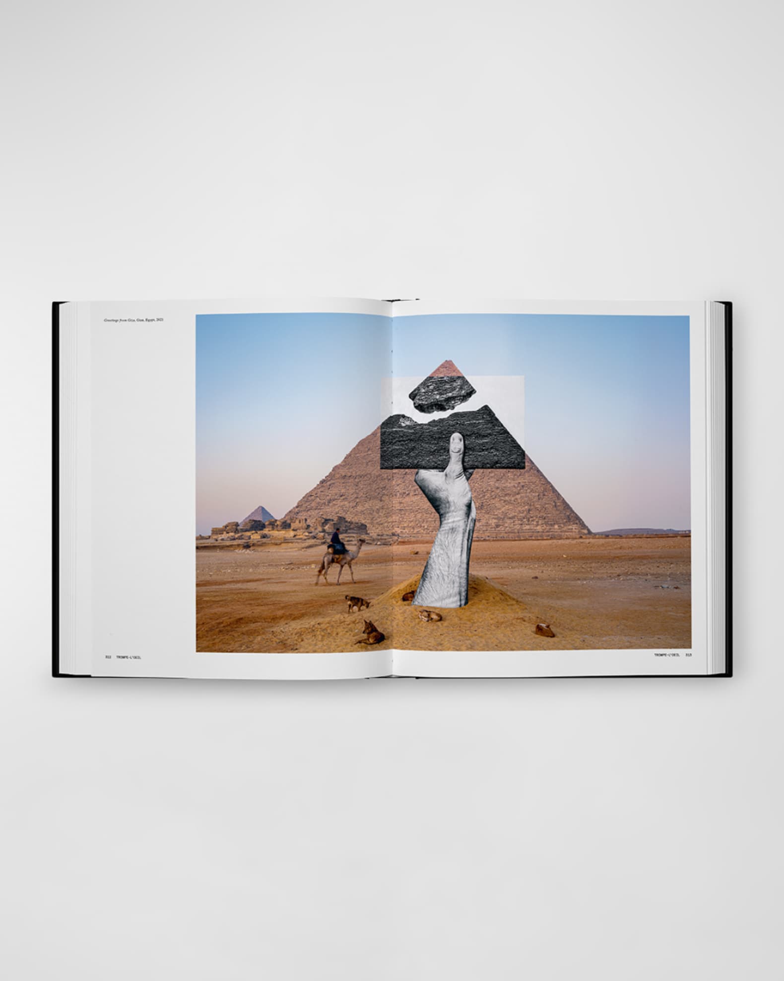 Phaidon Press "JR Can Art Change the World?" Book by JR Neiman Marcus