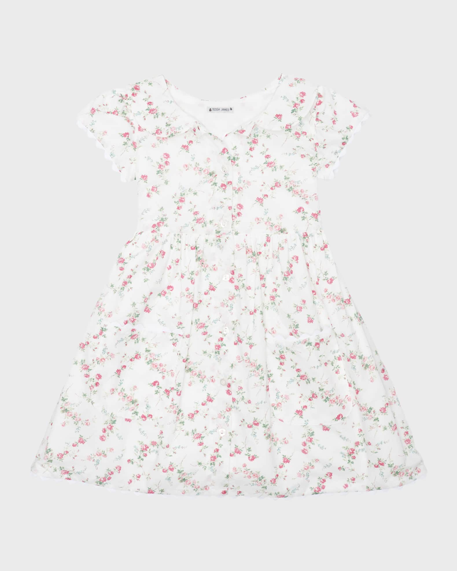 Girl's Emma Dainty Floral-Print Dress, Size 2-6 0