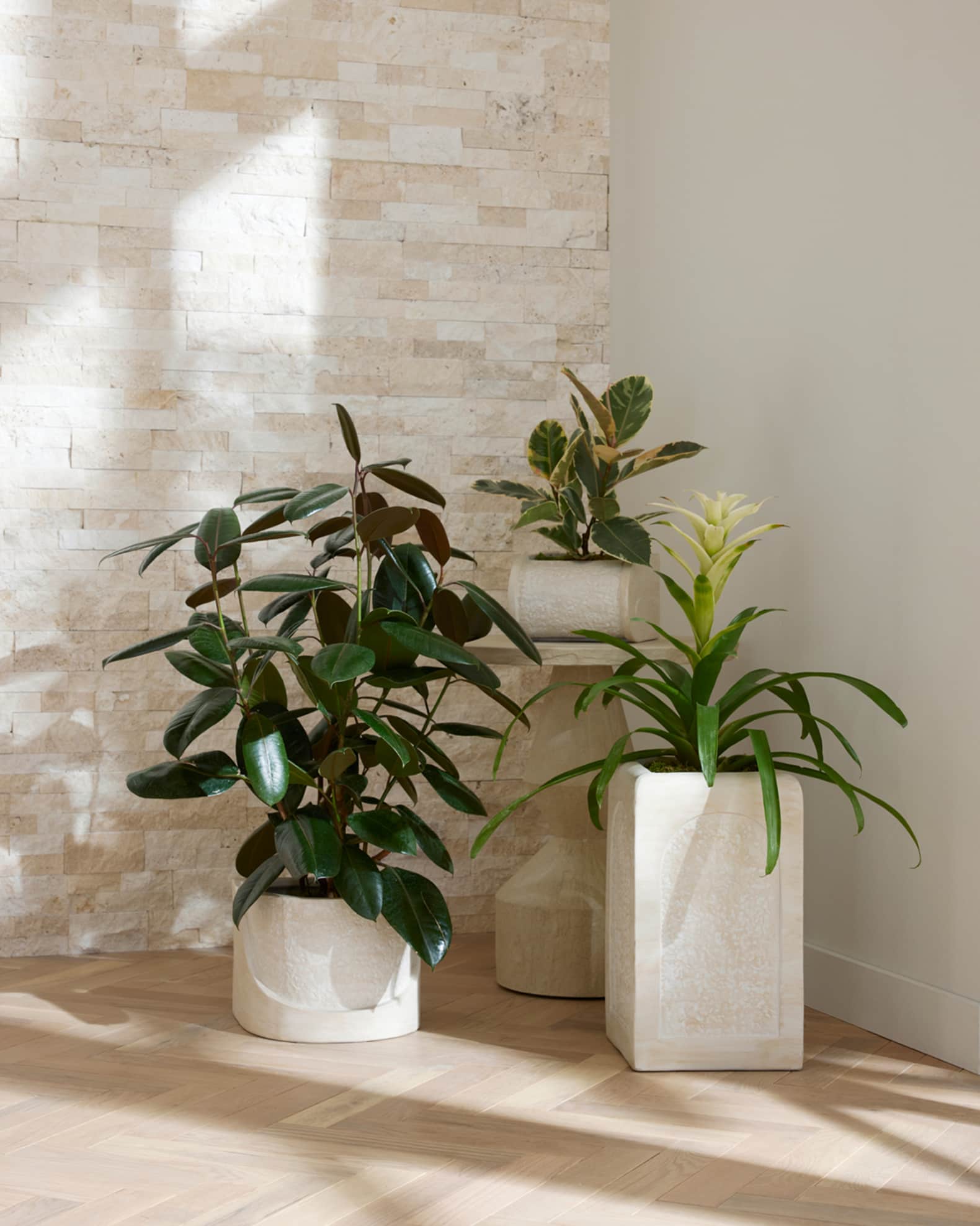 Callie Planters, Set of 3 0