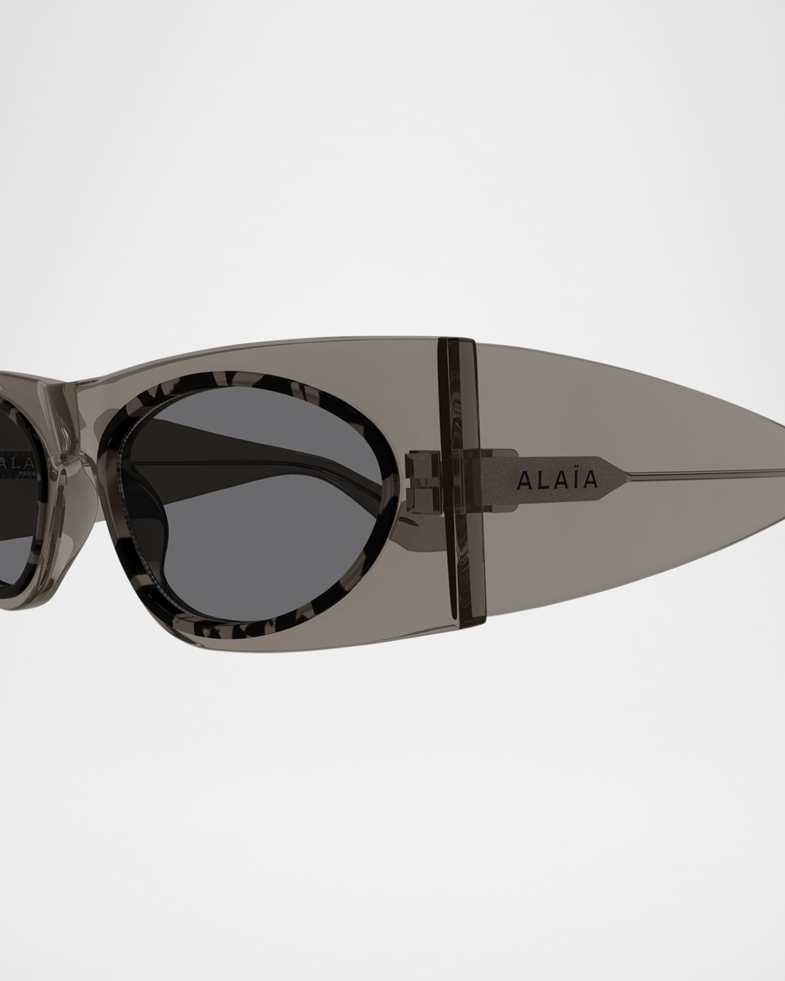 Cat-Eye Acetate Sunglasses 1