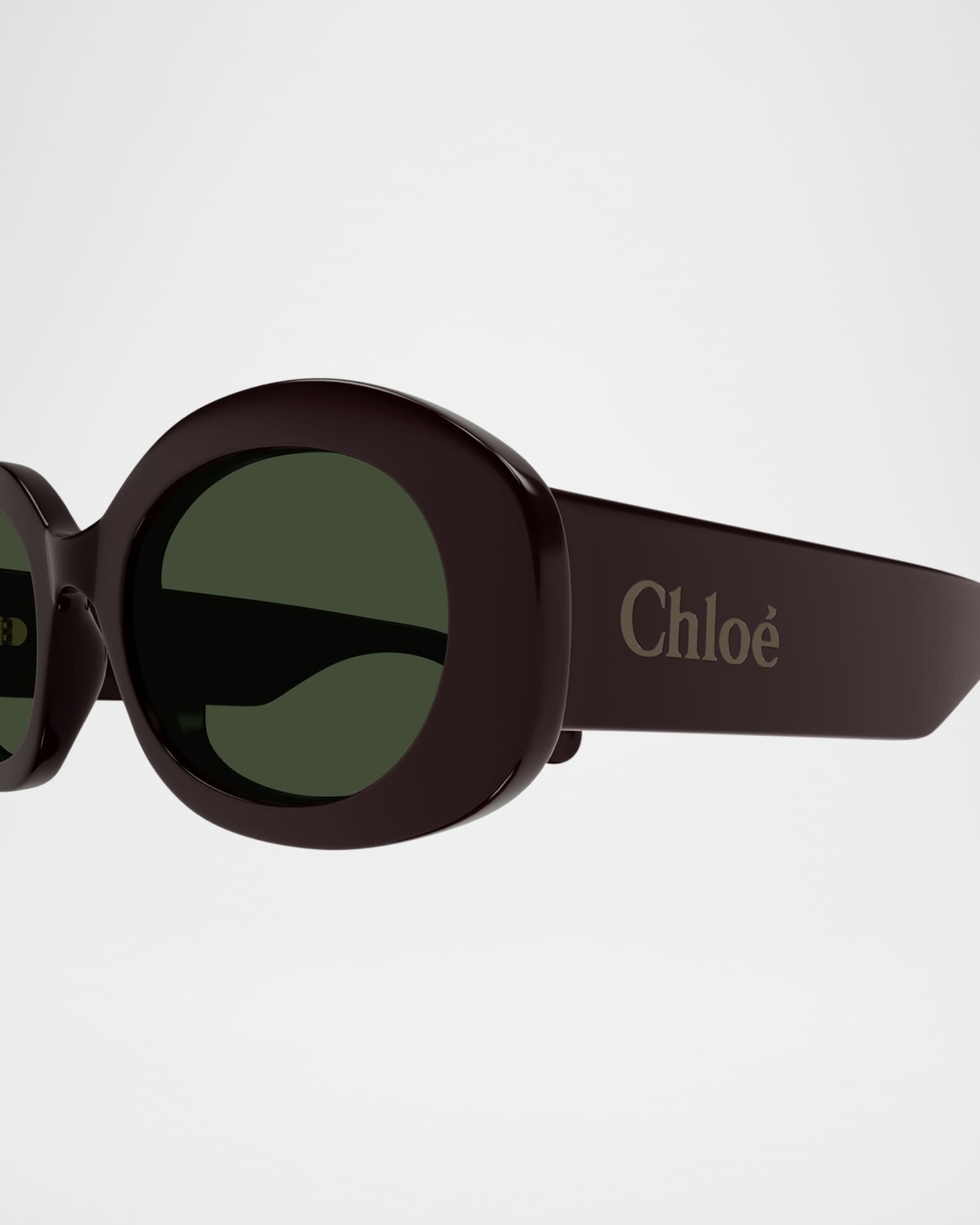 Naomy Acetate Oval Sunglasses 1