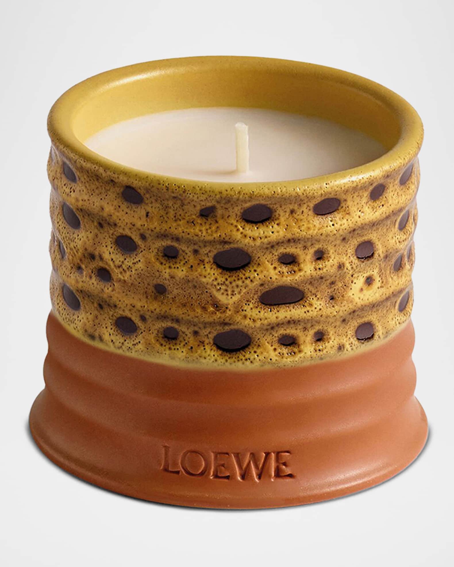 ベストセラー Loewe Marcus Neiman | oz. 5.8 Candle, Scented Mimosa アロマグッズ