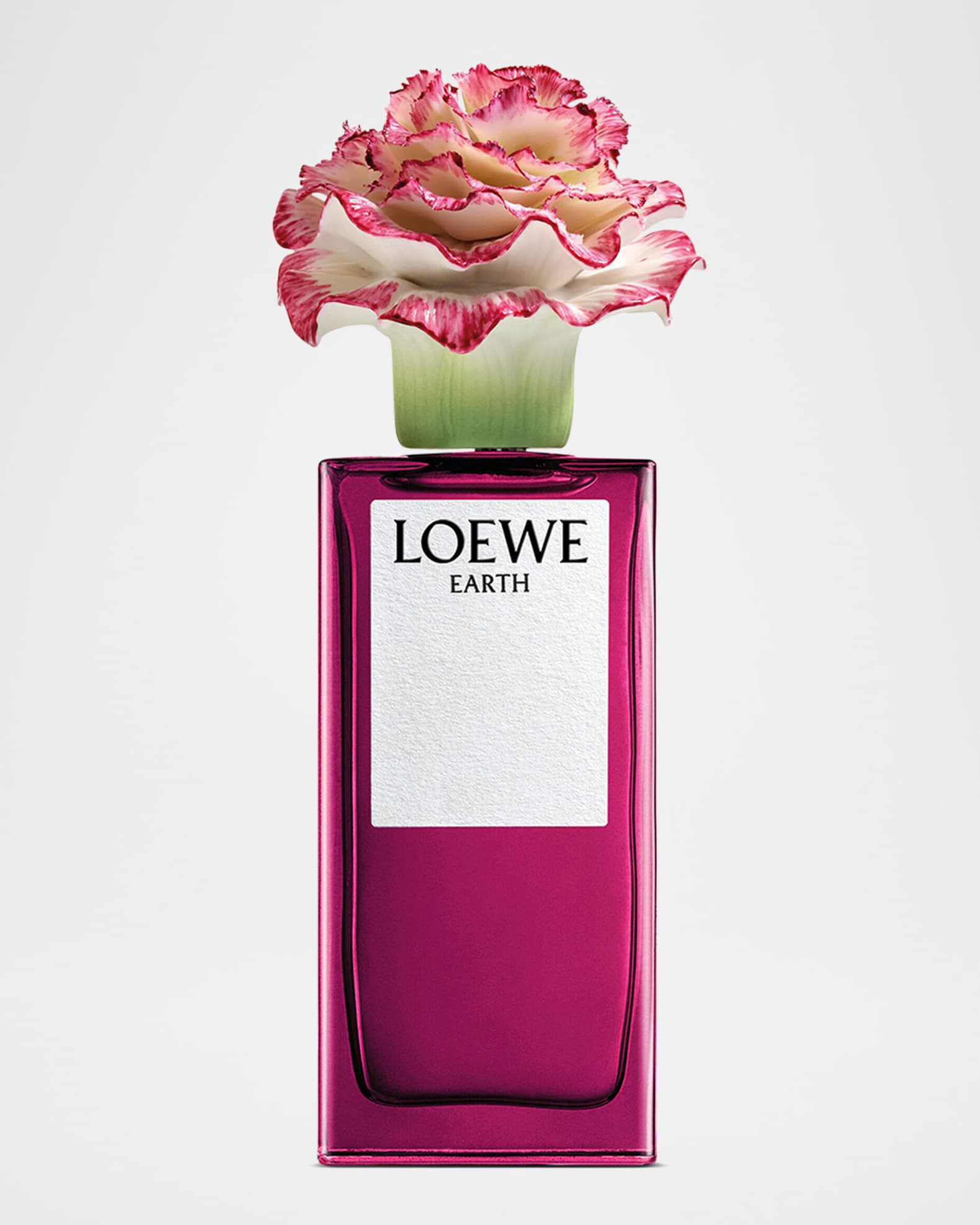 香水(男性用) LOEWE EARTH Eau de Parfum 50ml LOEWE Earth EDP 50ml | LOEWE Perfumes